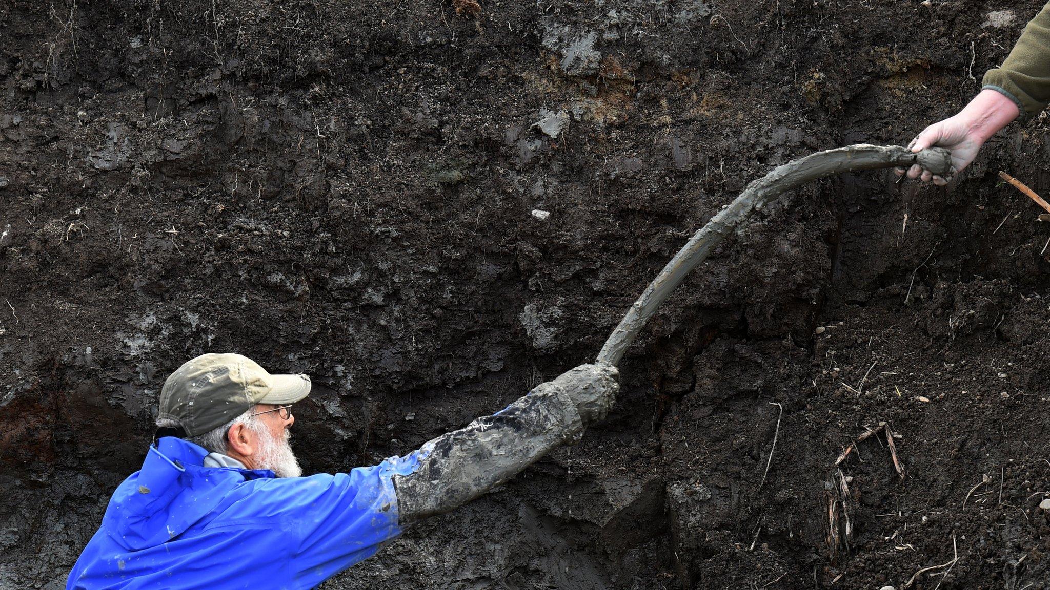 mammoth dig