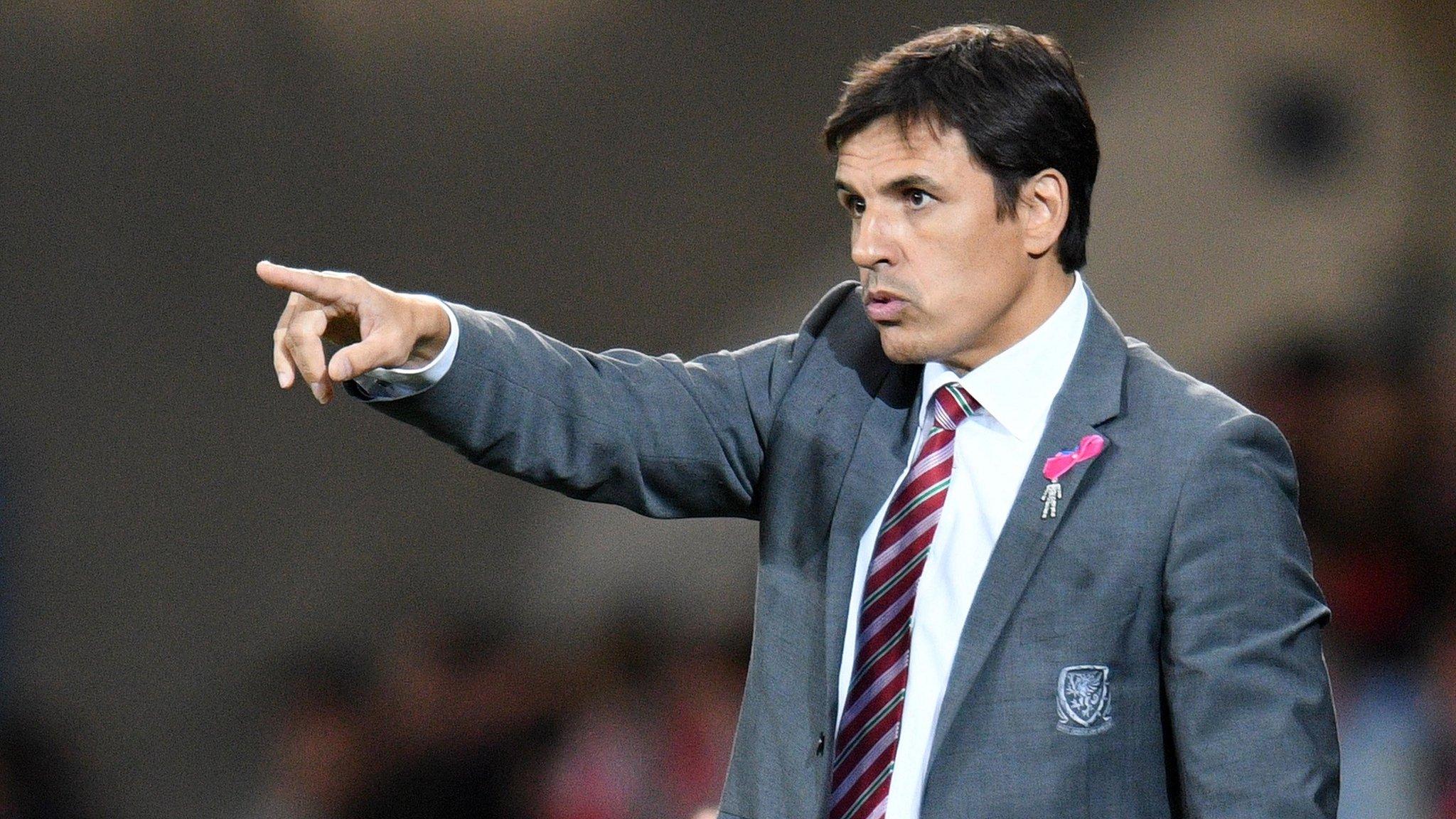 Wales manager Chris Coleman