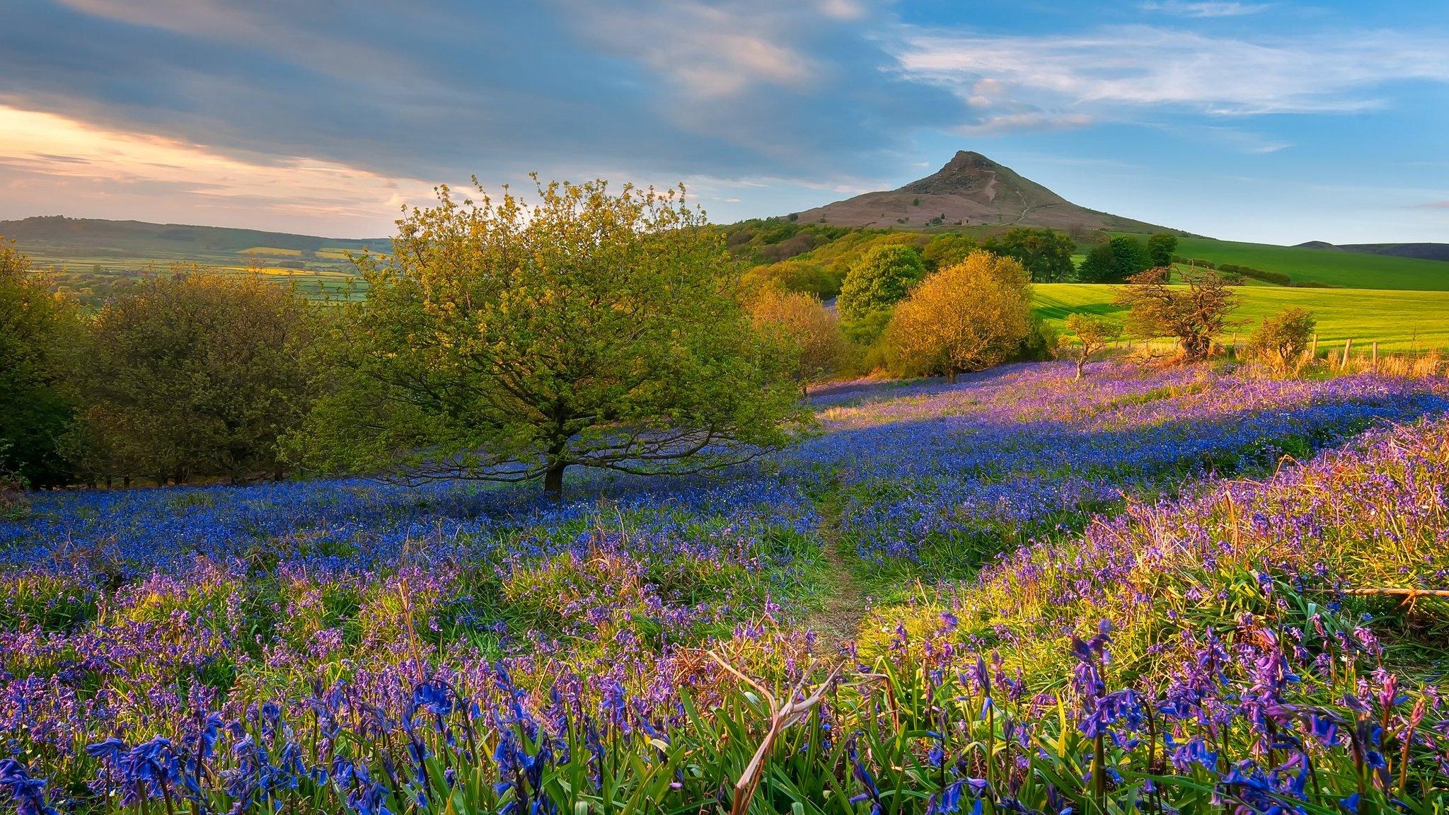 Roseberry Topping