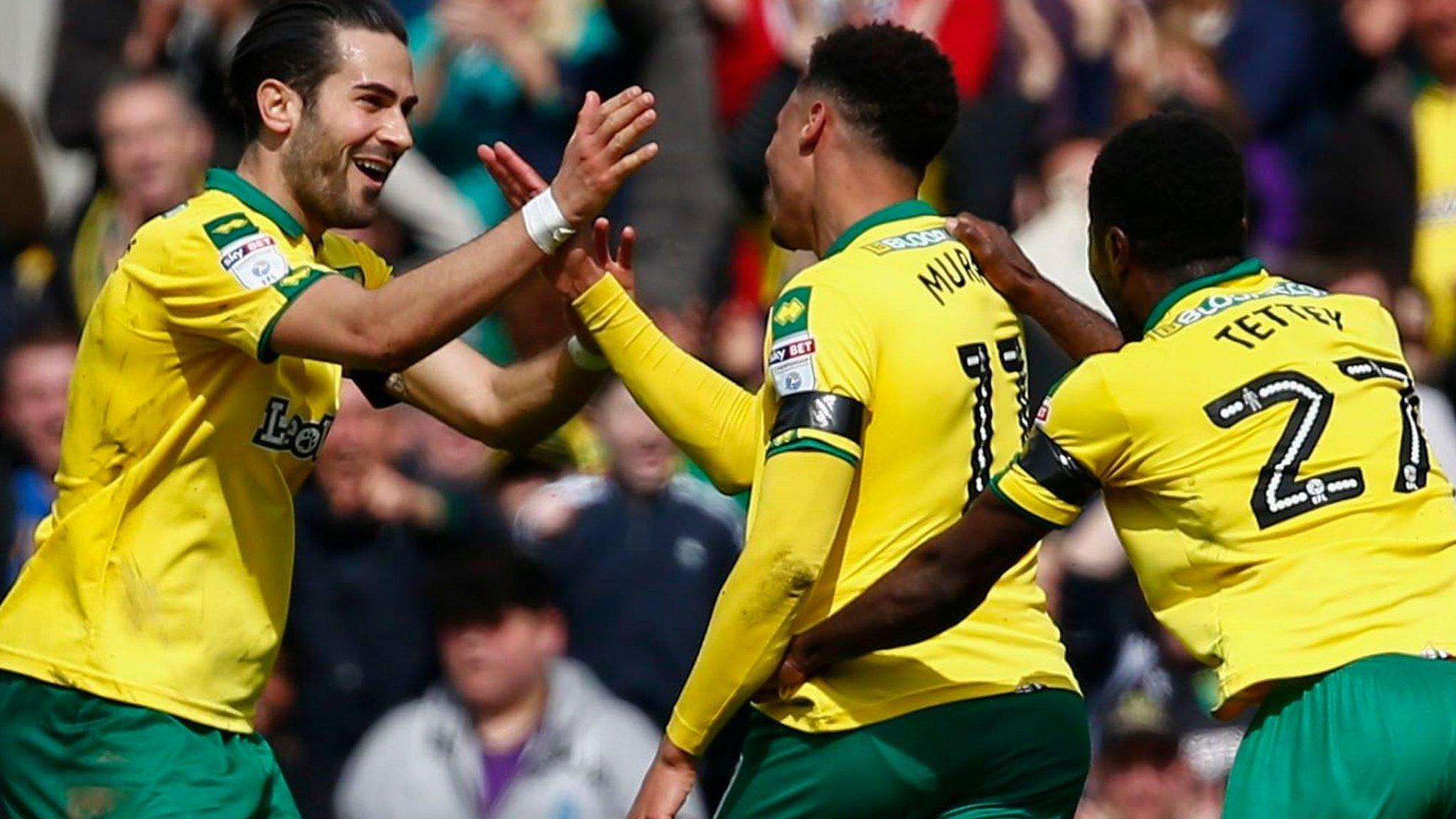 Norwich celebrate goal