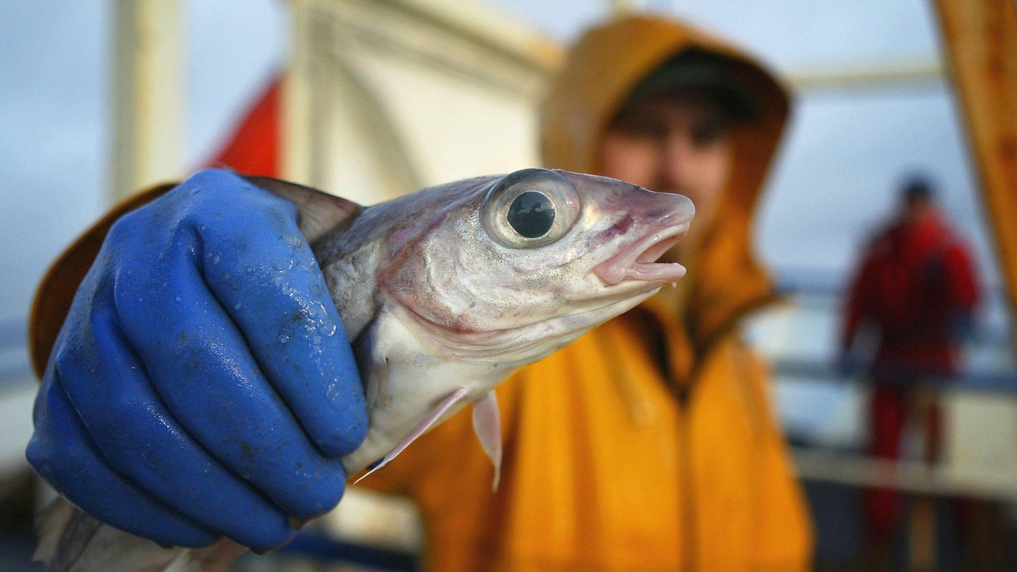 A fisherman holding up a fish