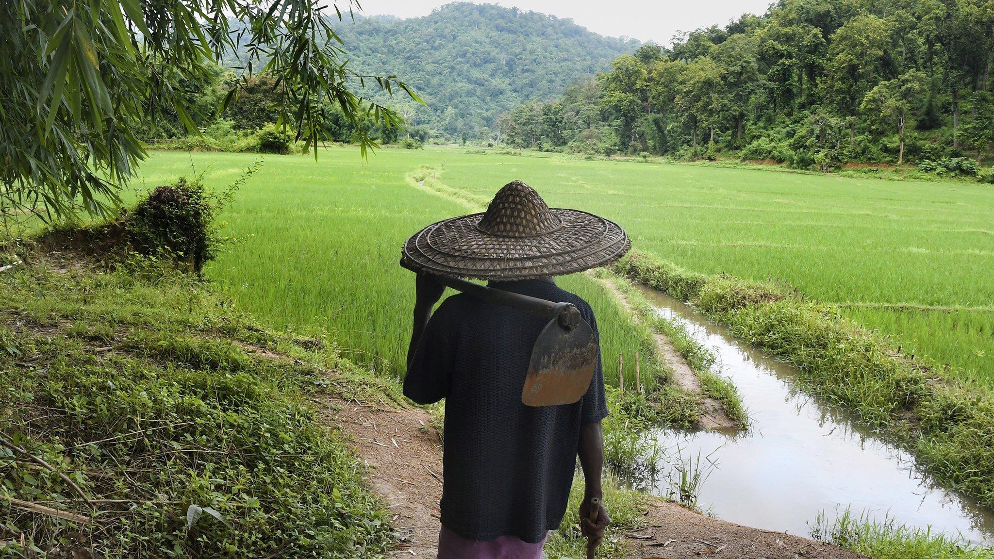 farmer in assam