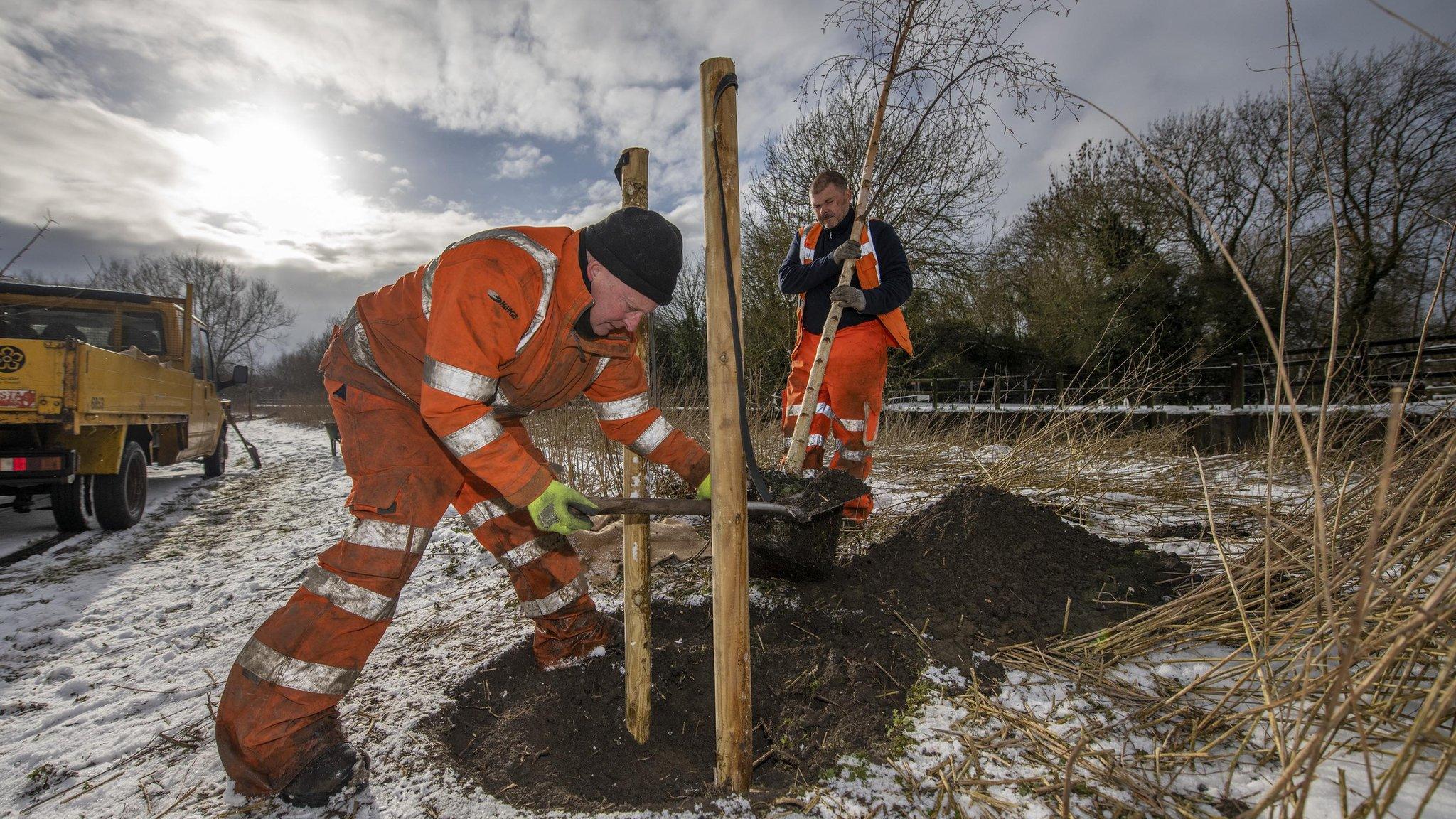 Tree being planted for the Watermead Memorial Walk