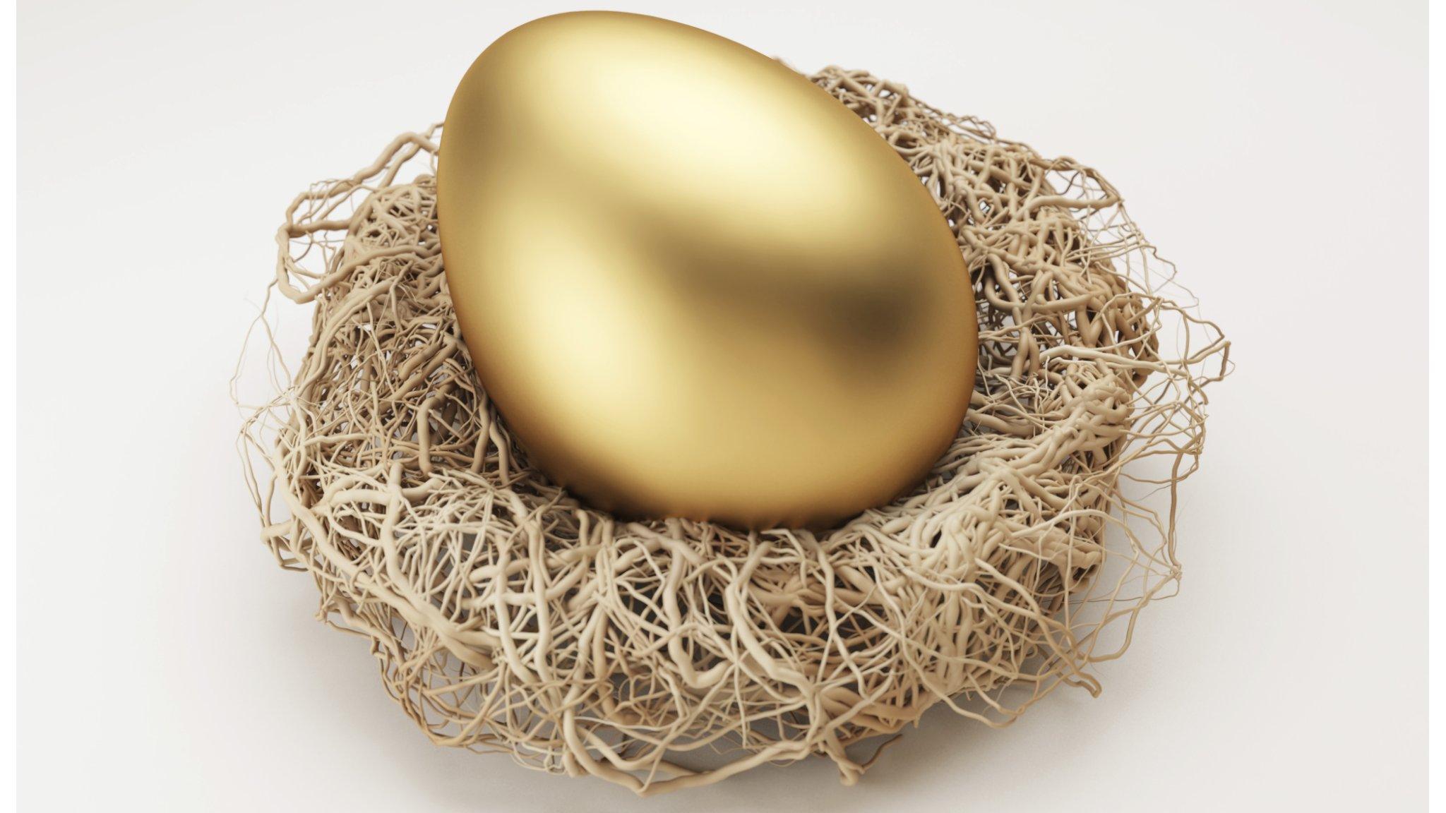 golden nest egg