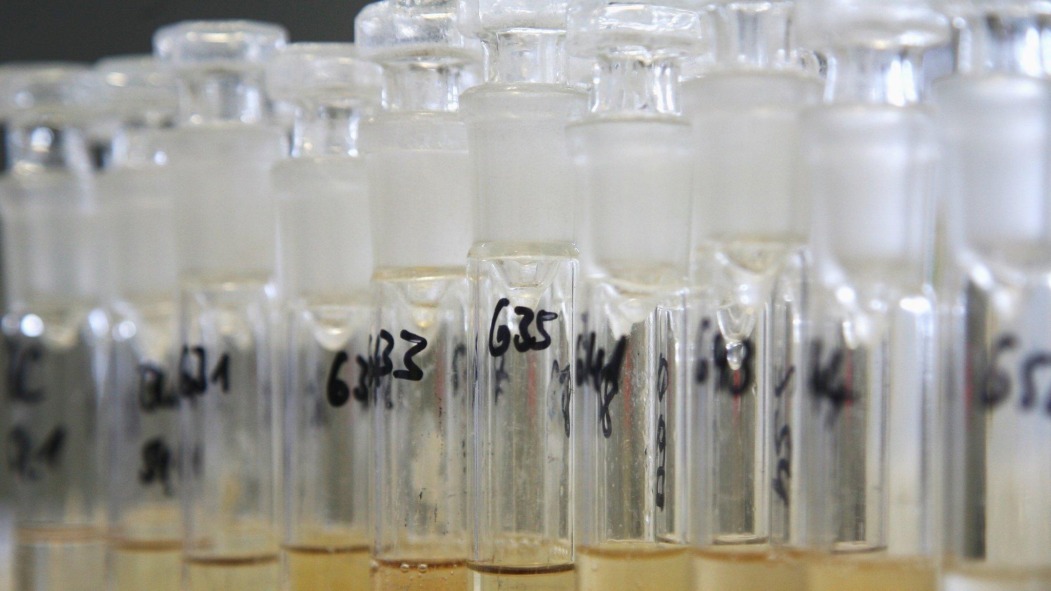 Test tubes at an anti-doping laboratory