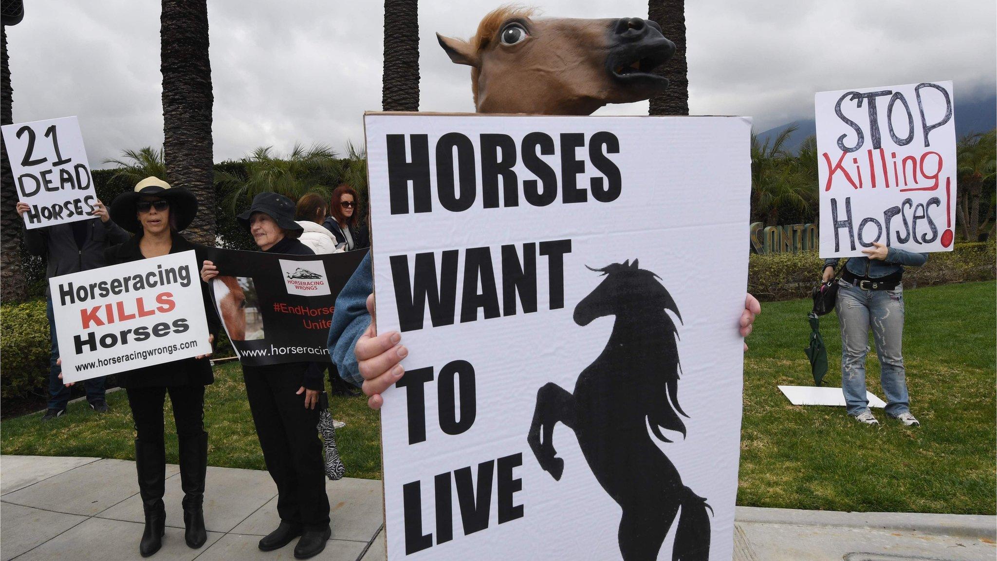 Protestors at Santa Anita