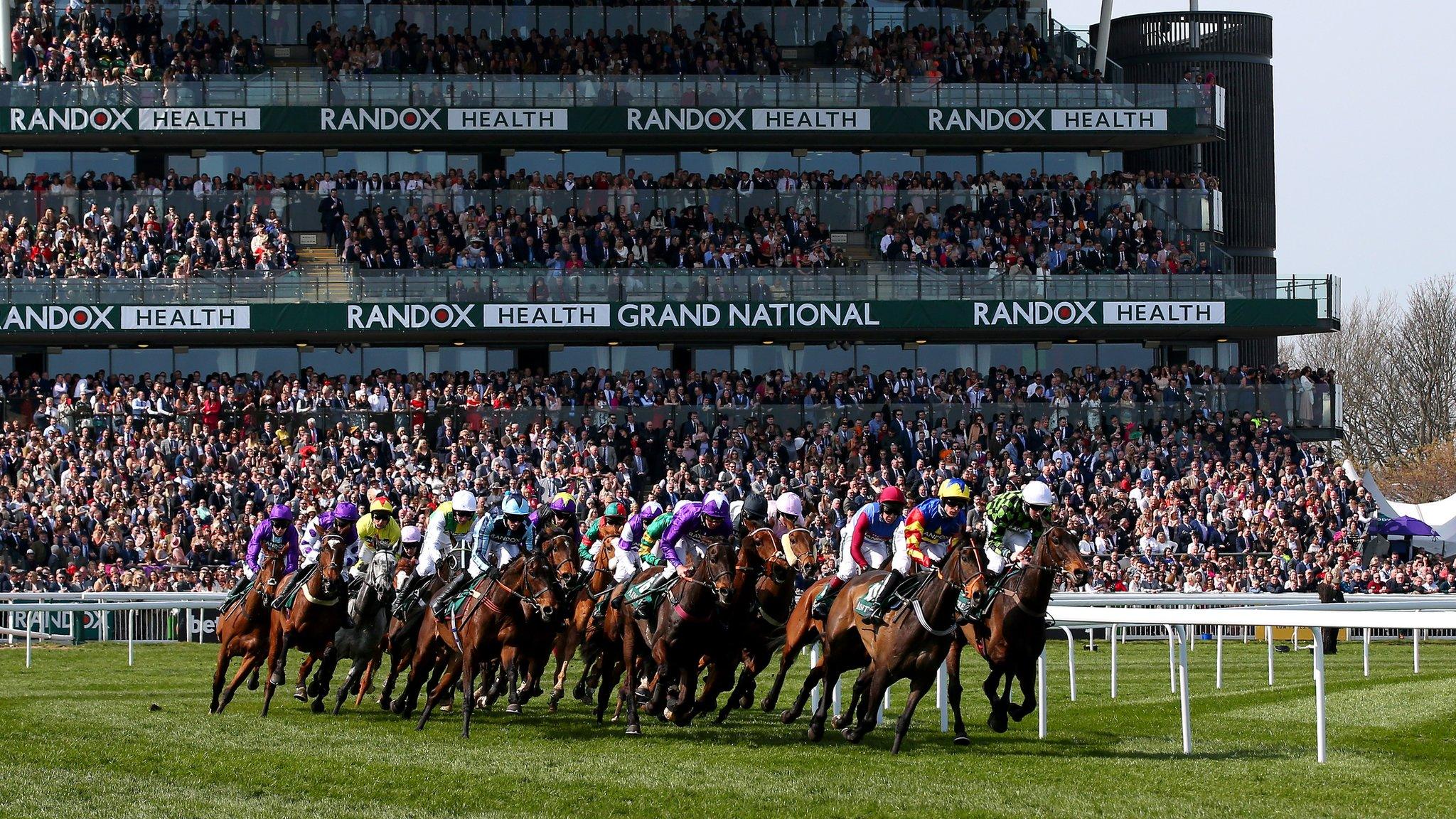 Grand National 2019