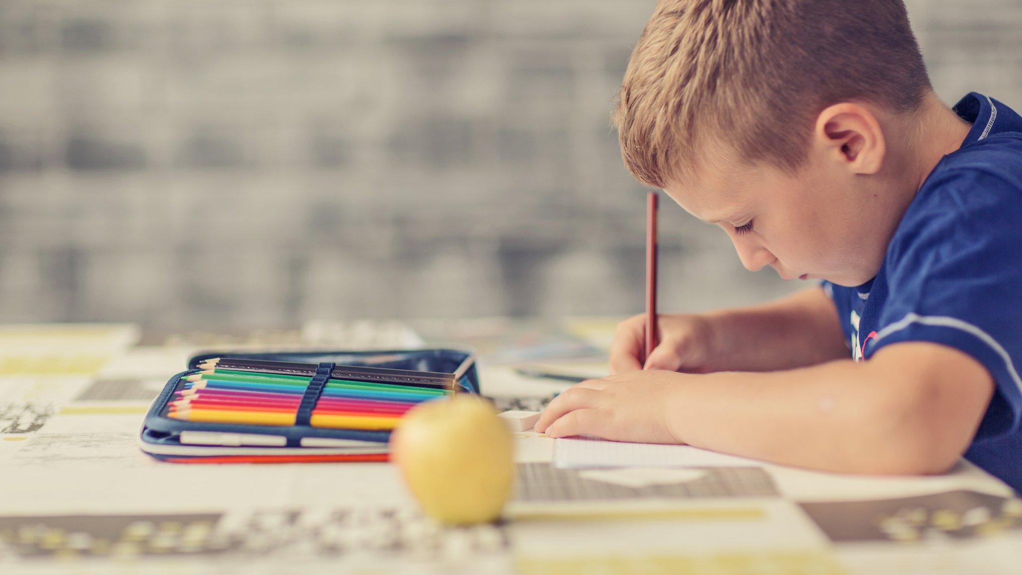 Boy doing homework