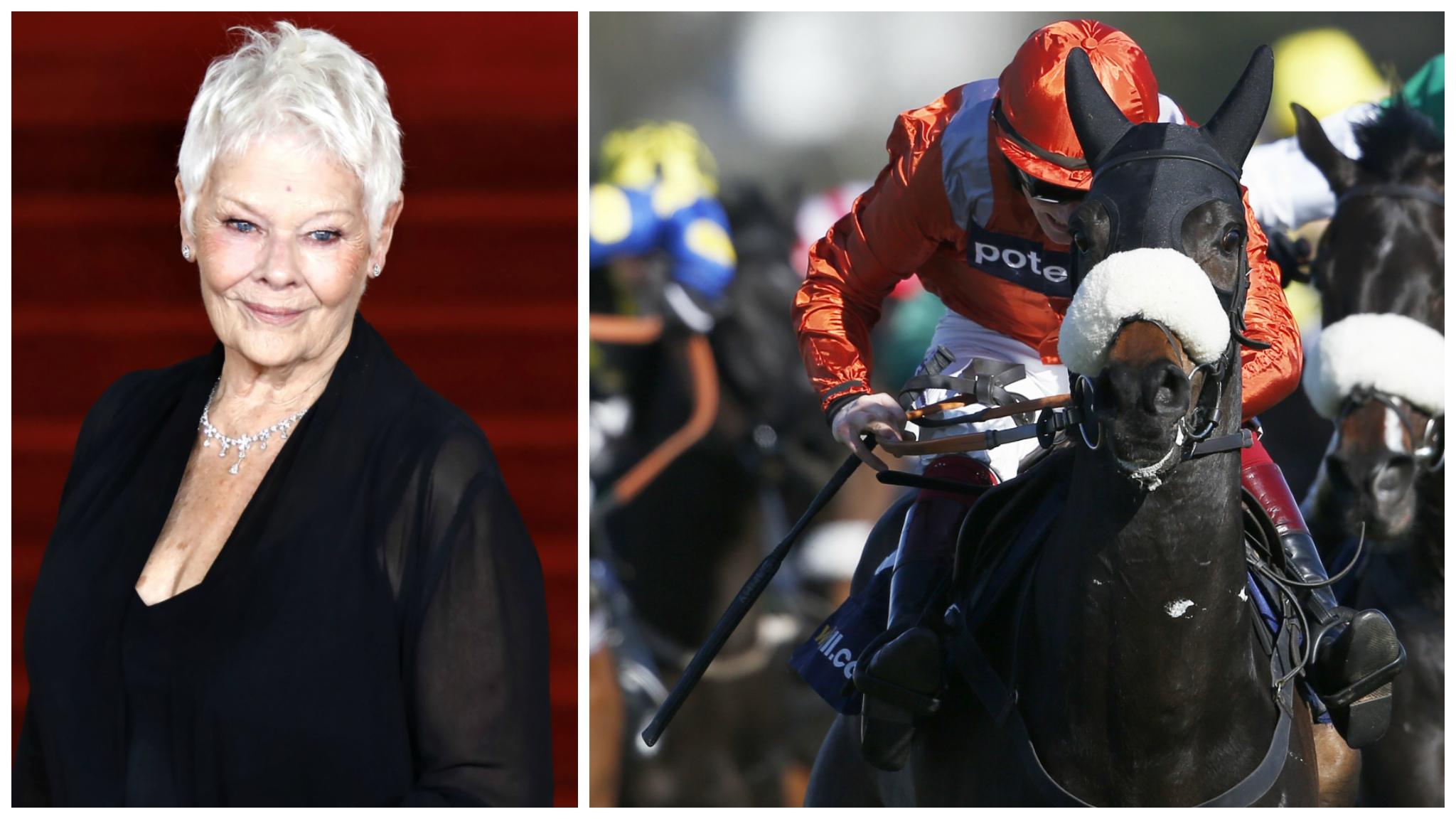 Dame Judi Dench and the horse she co-owns, As De Mee