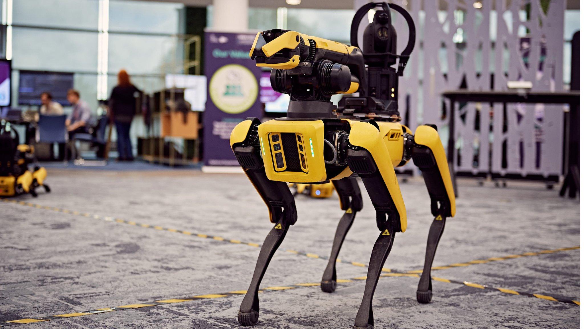 Robot dog