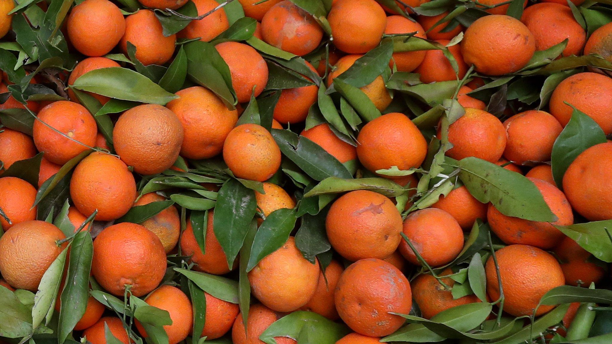 Tangerines