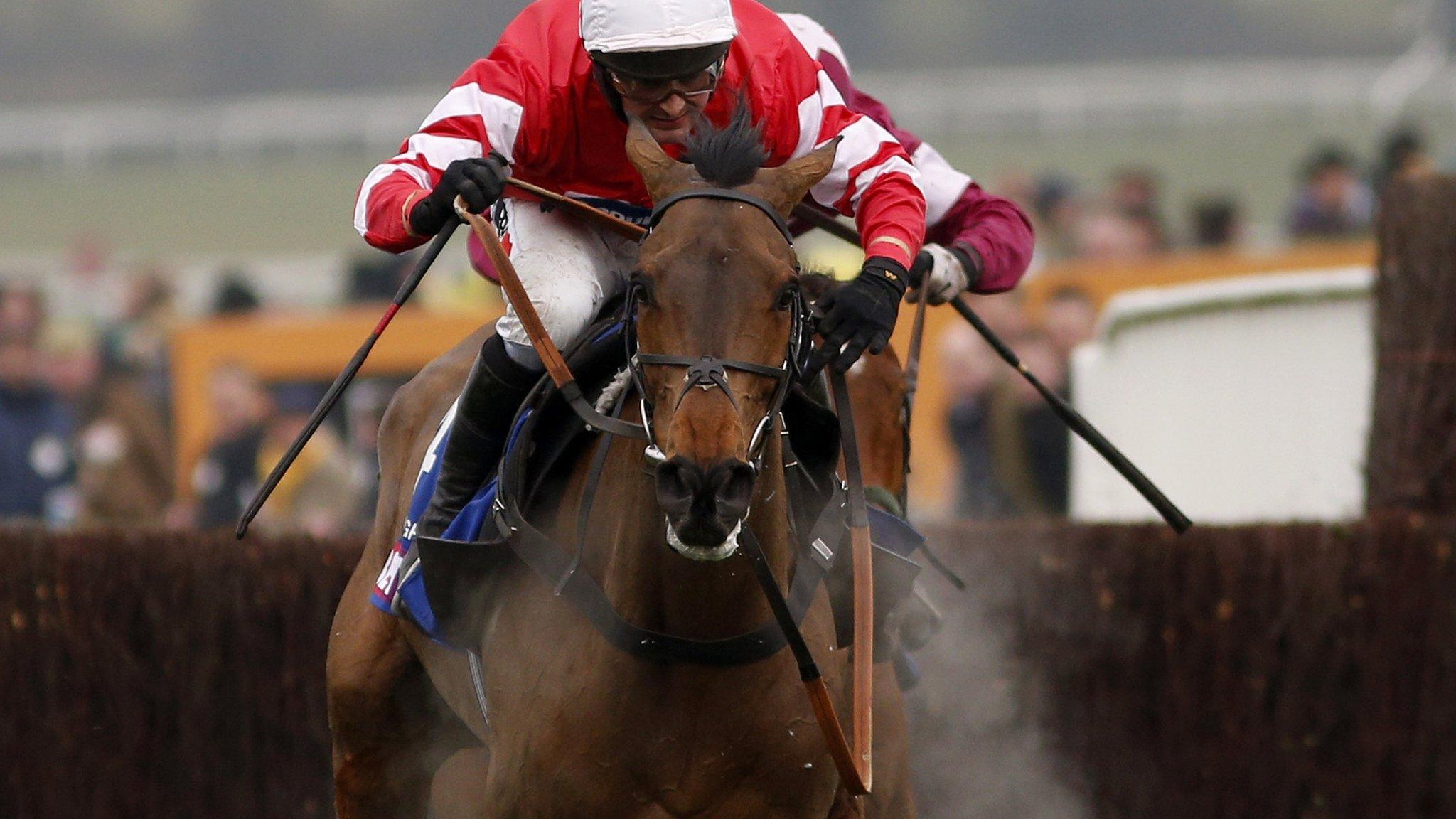 2015 Cheltenham Gold Cup winner Coneygree