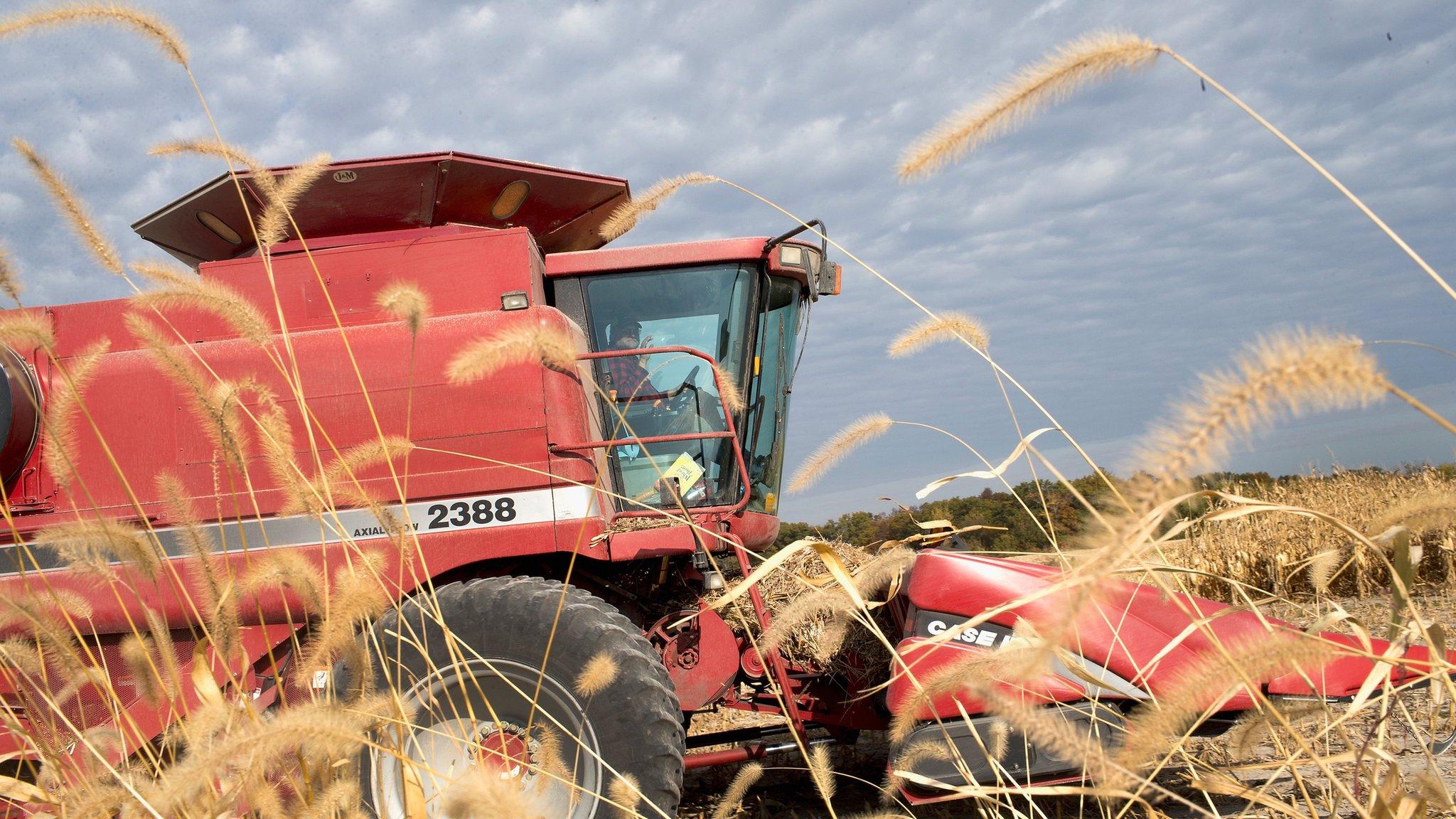 Corn harvester