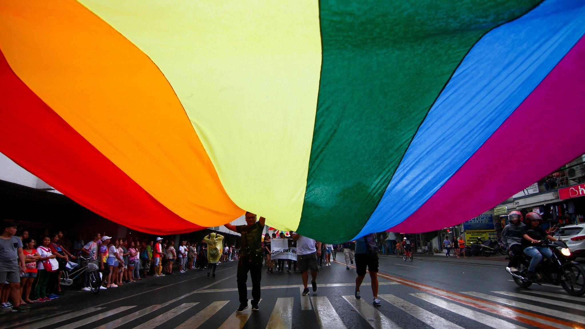 The rainbow flag