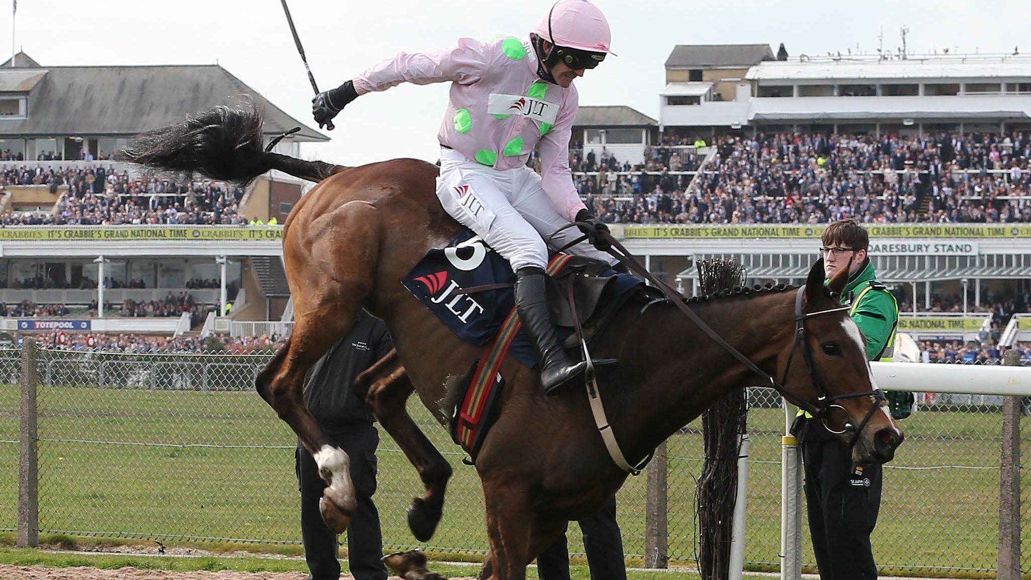 Vautour