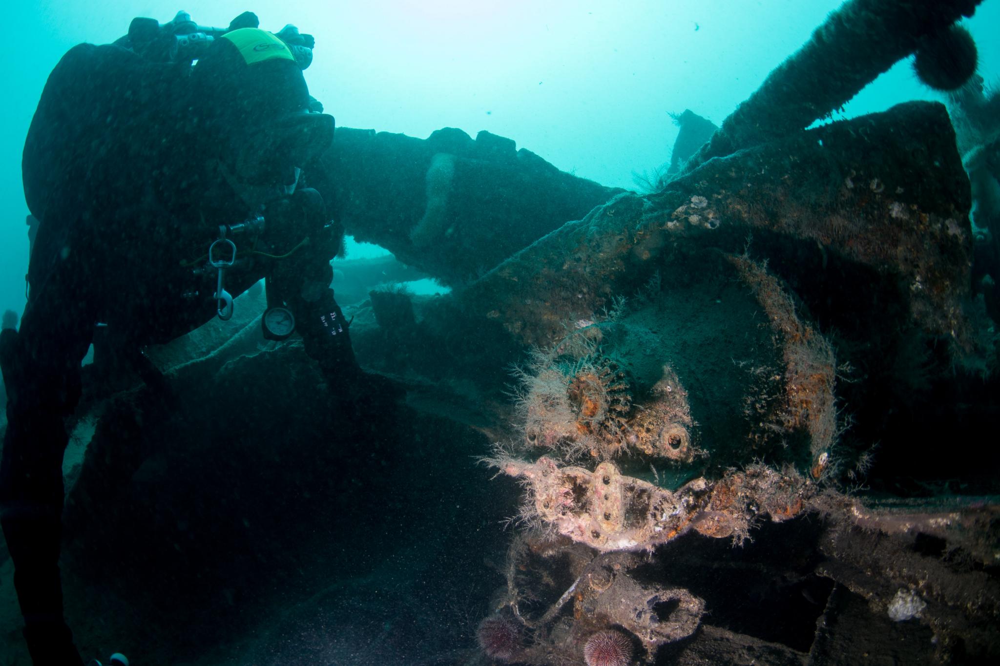 Scapa Flow dive