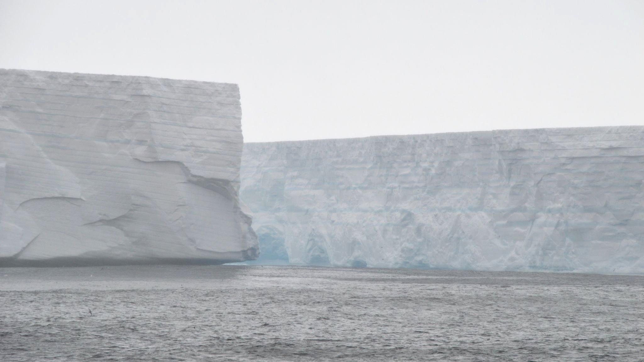 giant icebergs