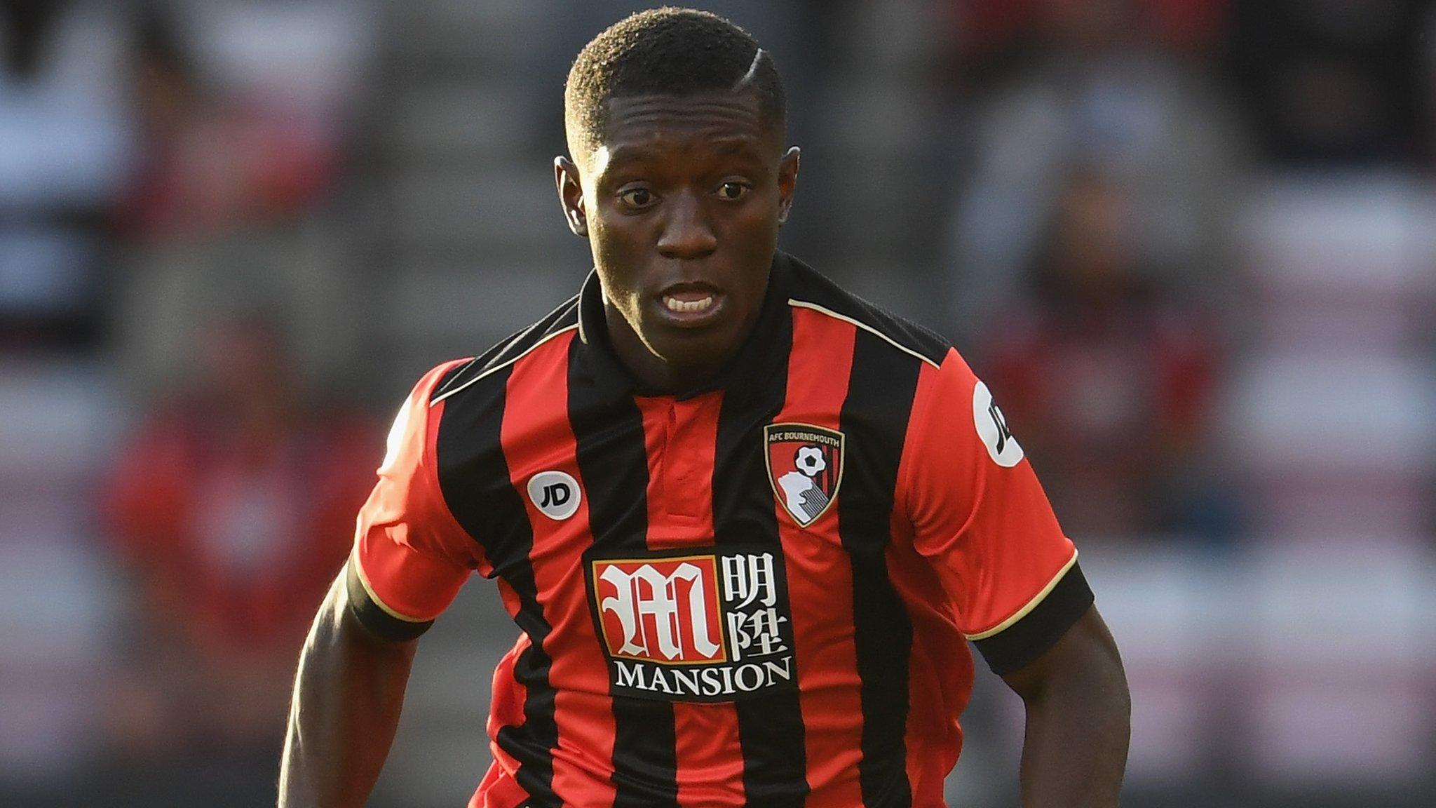 Ivory Coast and Bournemouth's Max Gradel