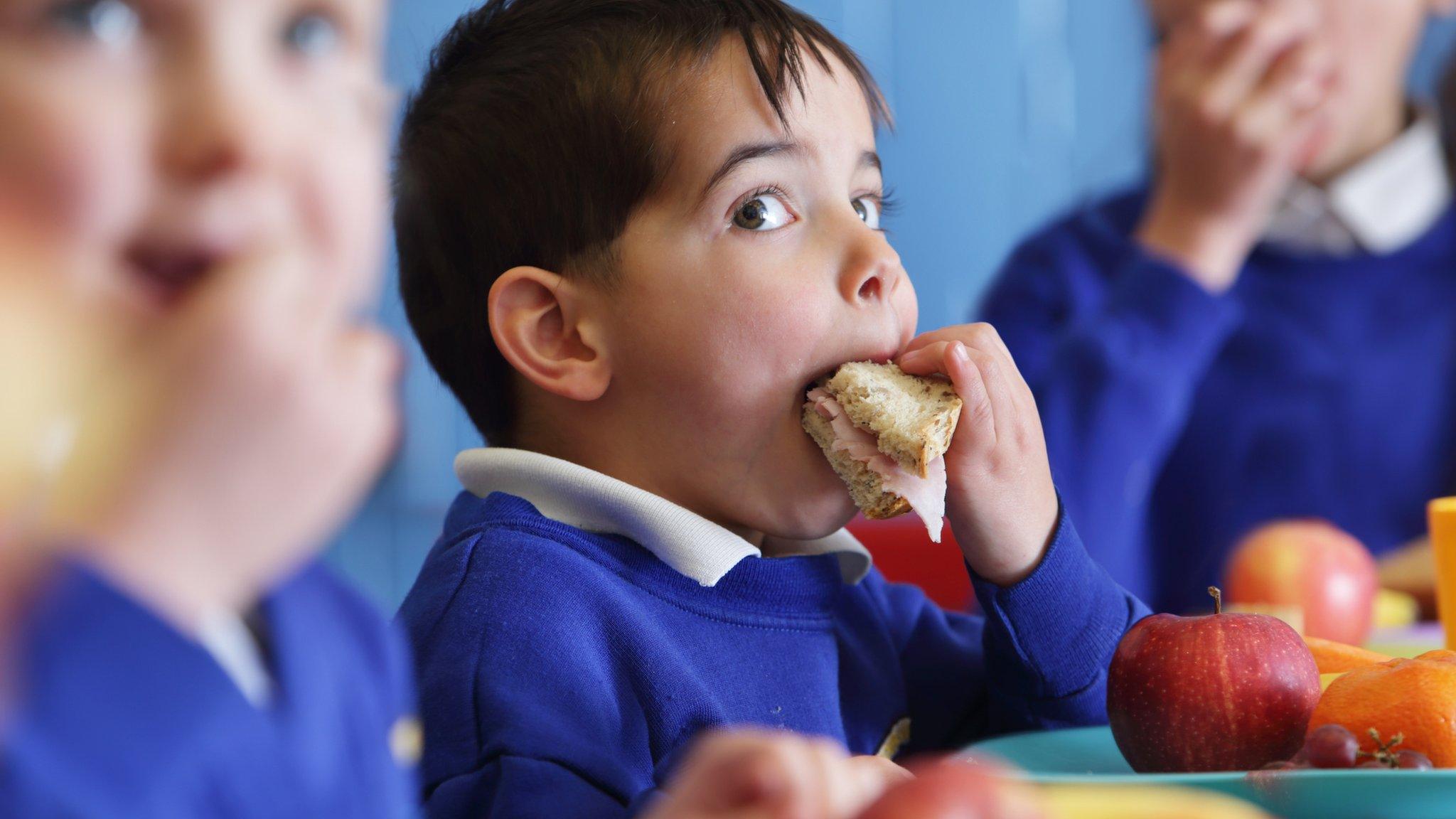 Child eating sandwich