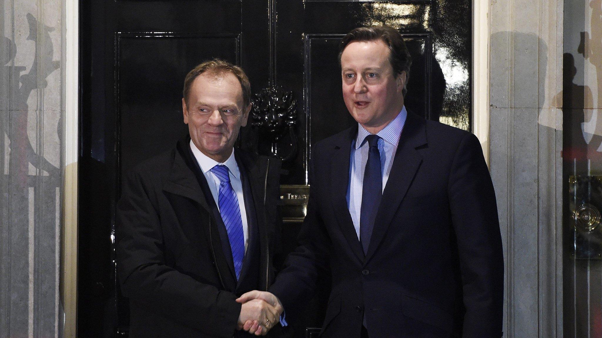 Donald Tusk and David Cameron