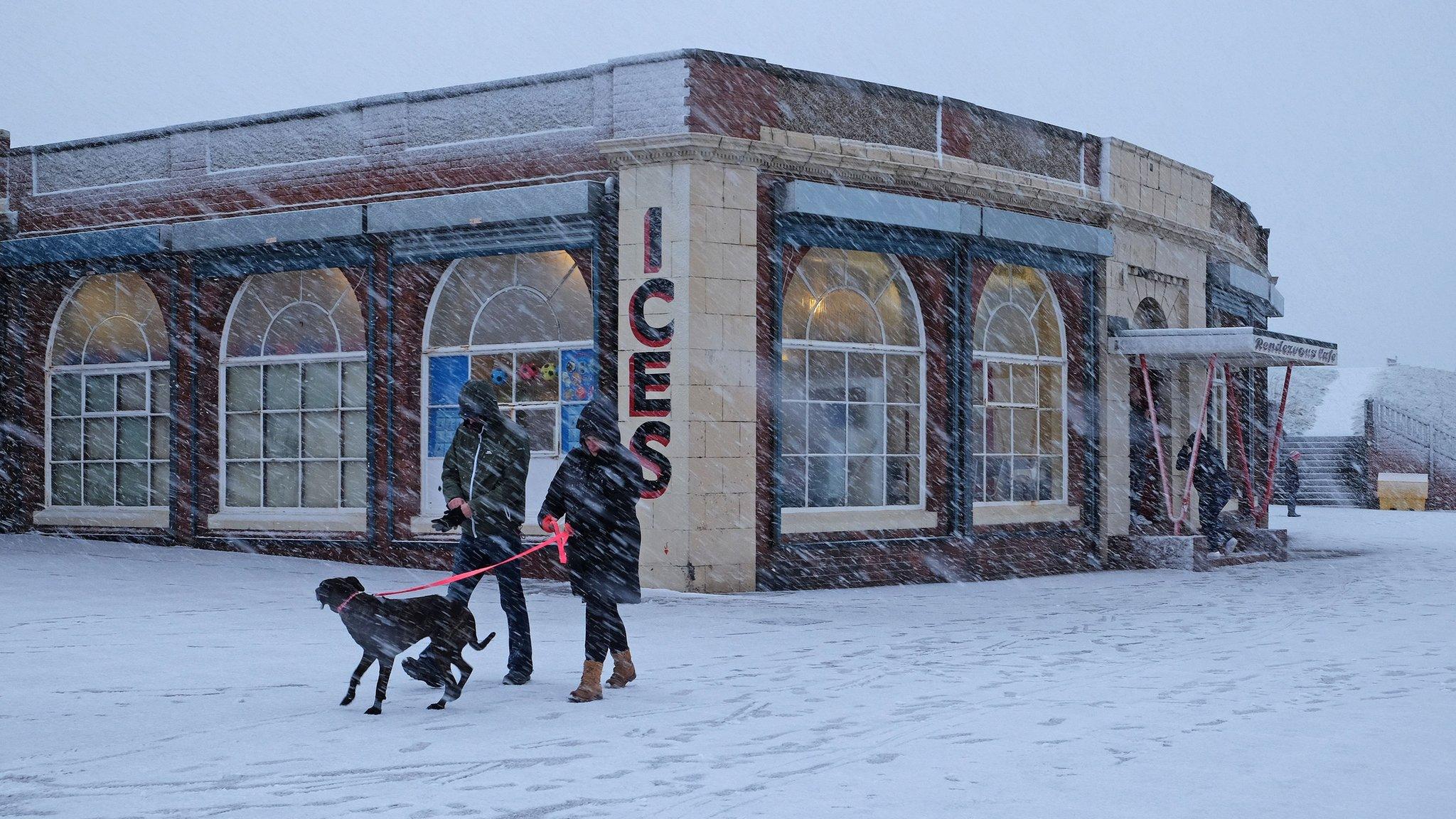 Dog walkers in Whitley Bay brave snow conditions on 21 January 2018