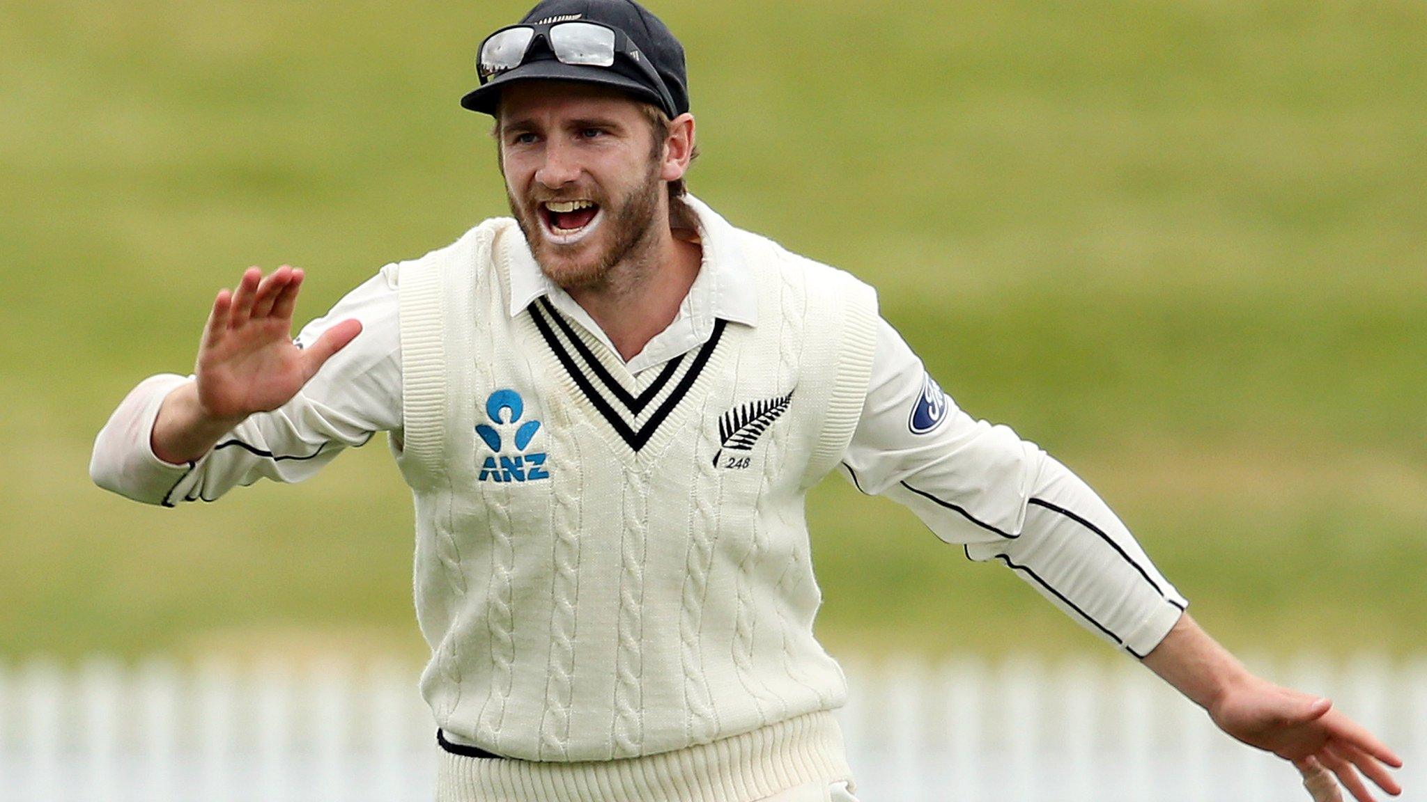 New Zealand captain Kane Williamson celebrates a wicket