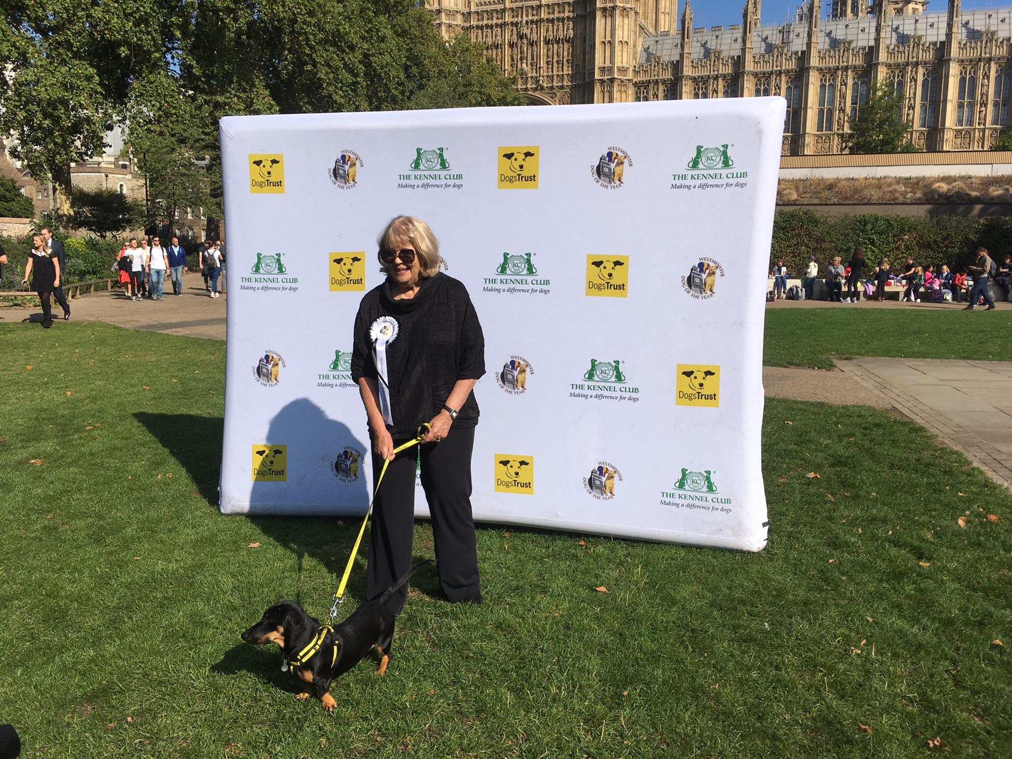 Former Conservative minister Cheryl Gillan with rescue dog Gooseberry