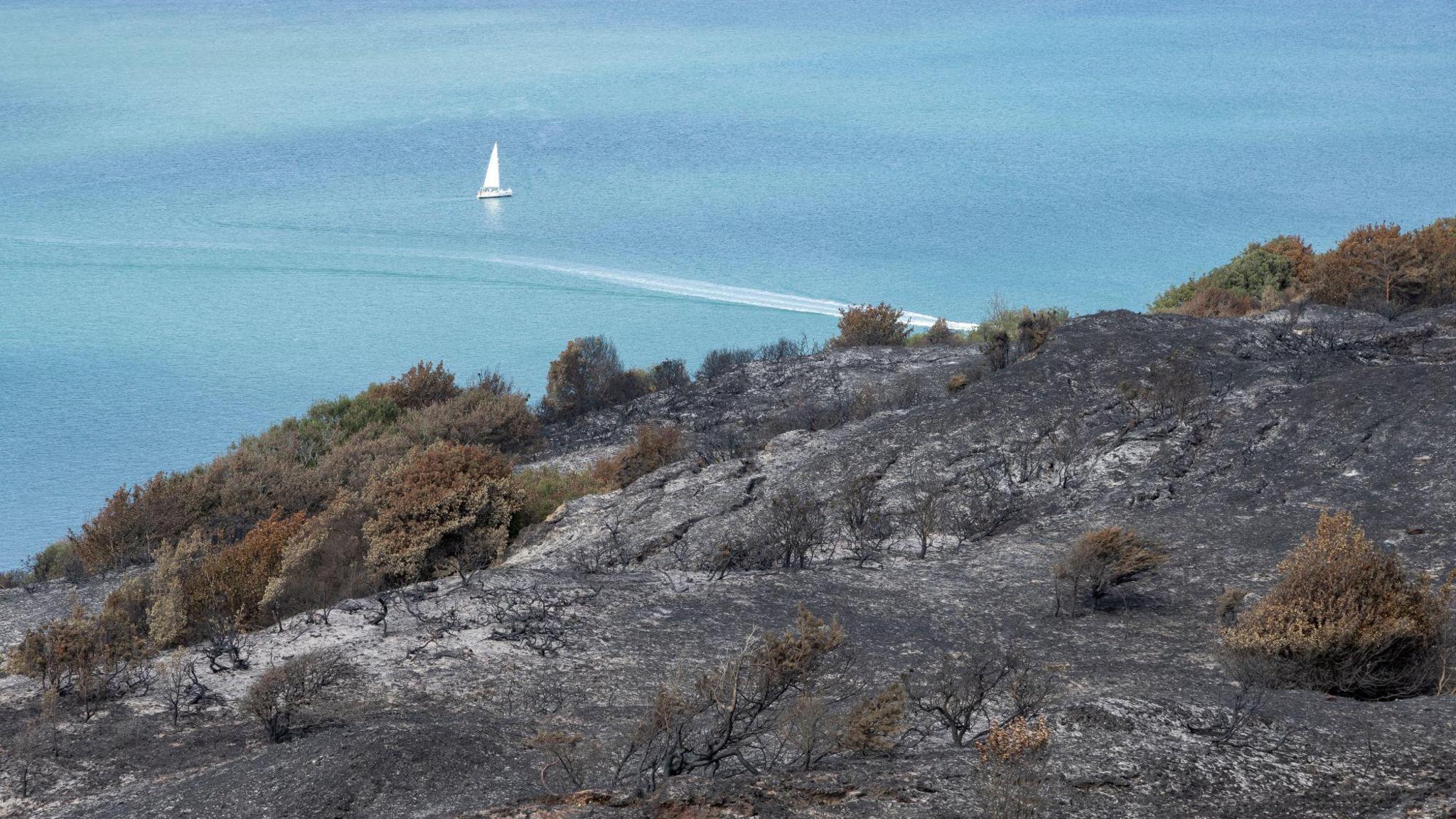 Blackened heathland on a cliff edge, overlooking a yacht sailing on the Solent
