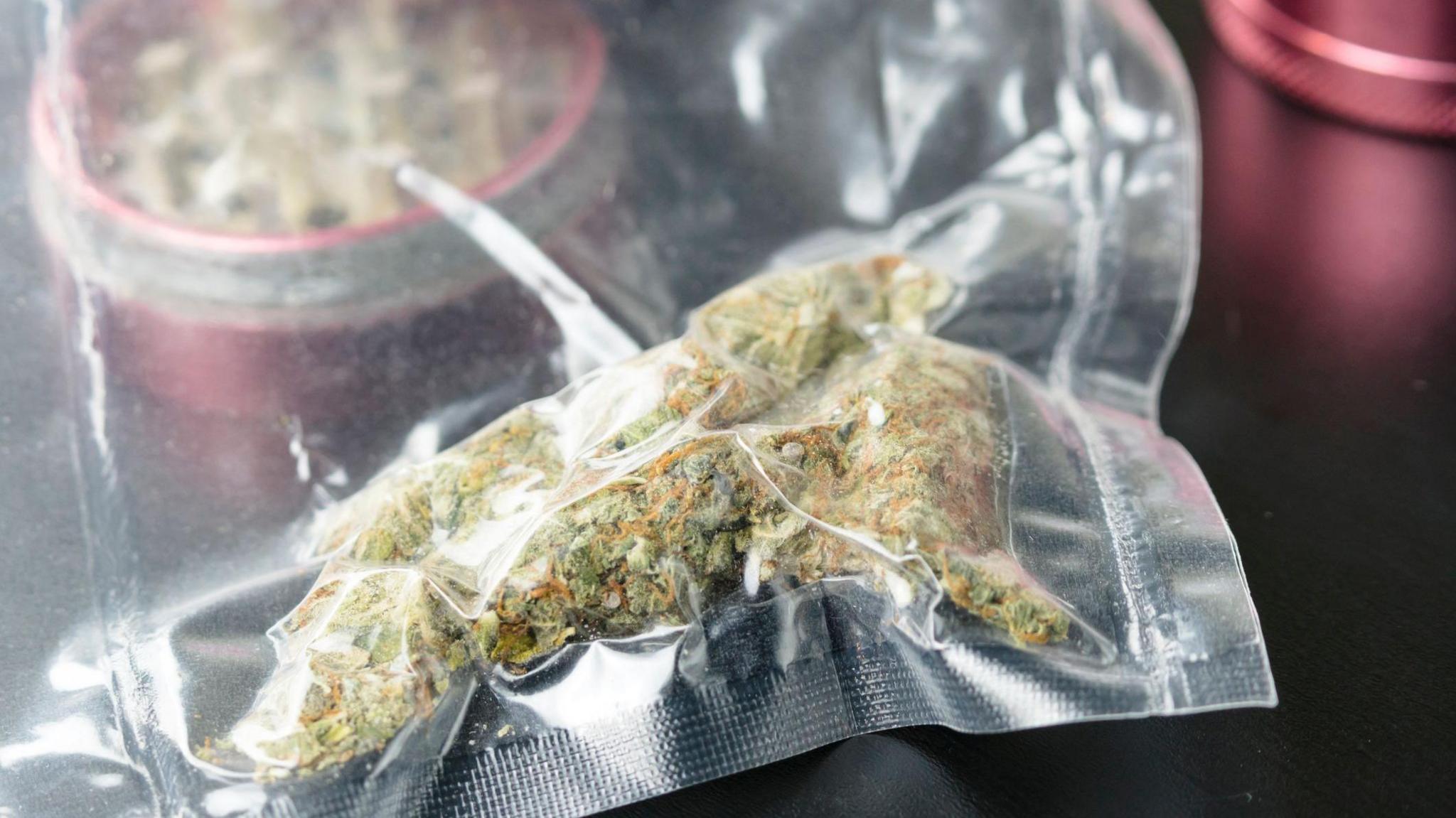 Close up of medical marijuana buds in vacuum seal bags and grinder. Cannabis is a concept of herbal or alternative medicine. 