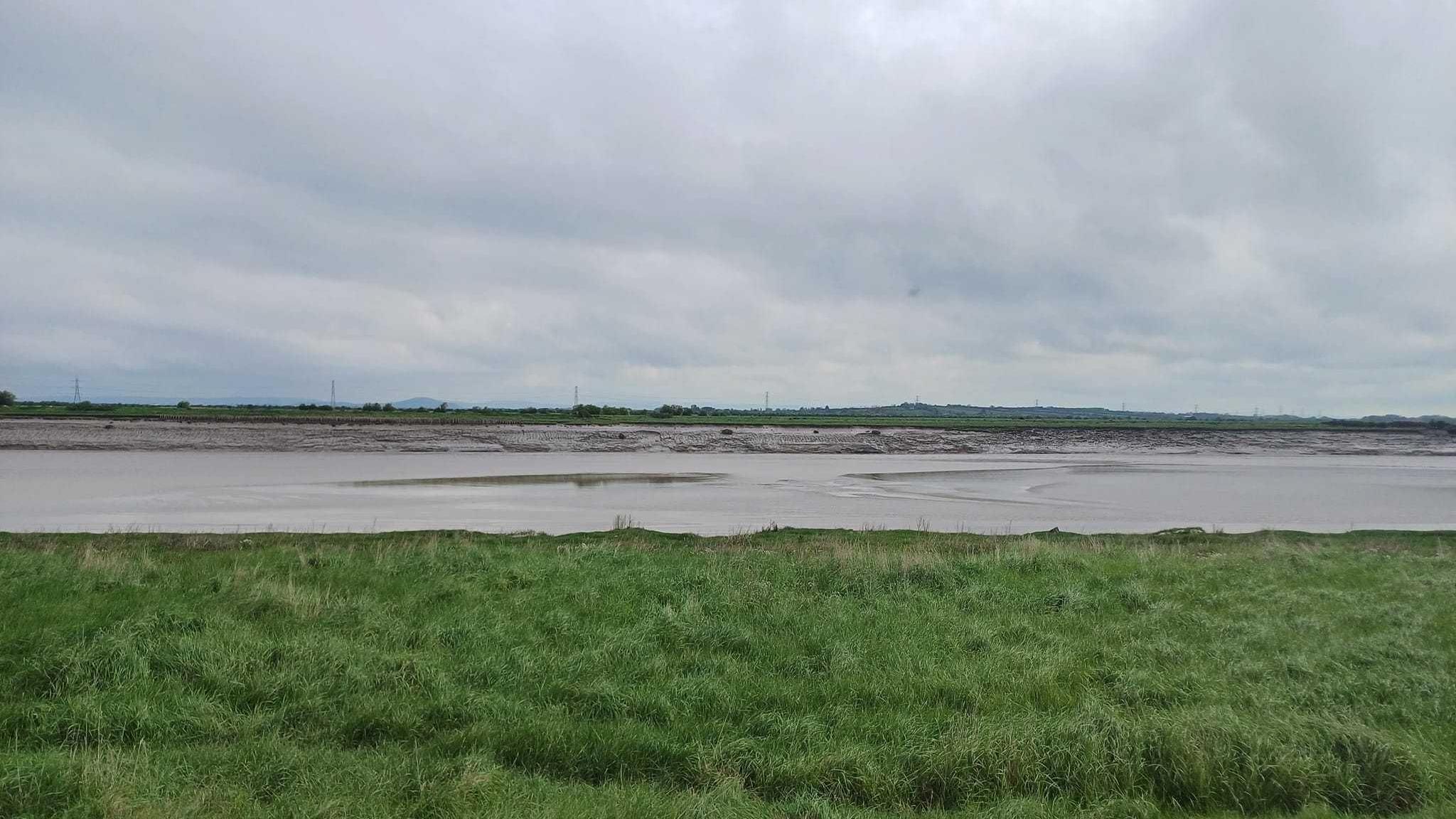 Coastal wetlands in Combwich showing the river with the banks on either side visible