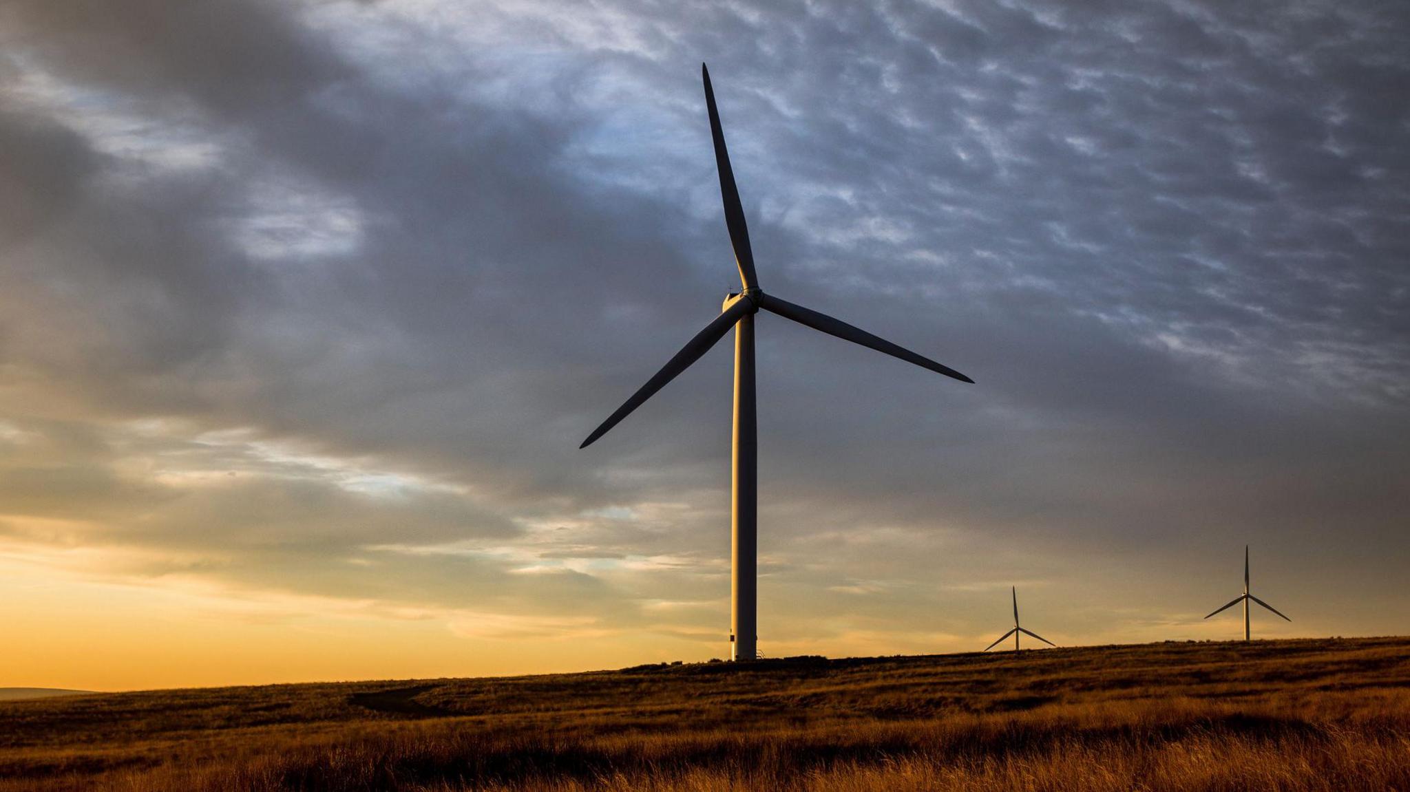 Crainn-gaoithe air mòinteach