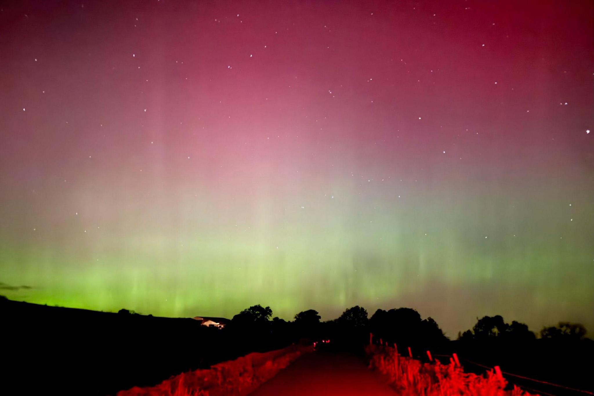 path shown leading to a copse of trees with waves of lime green above turning into purple and pink above with stars shining out everywhere