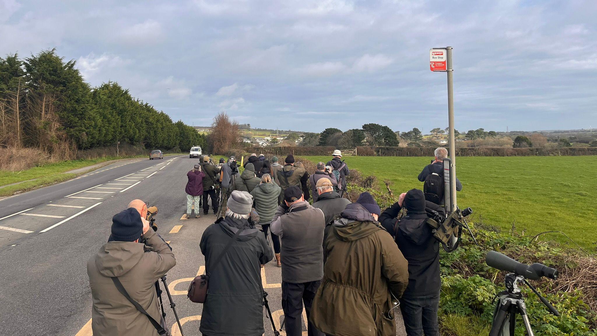 A group of bird watchers in a bus stop, all looking through telescopes or binoculars in the same direction, with a road beside them