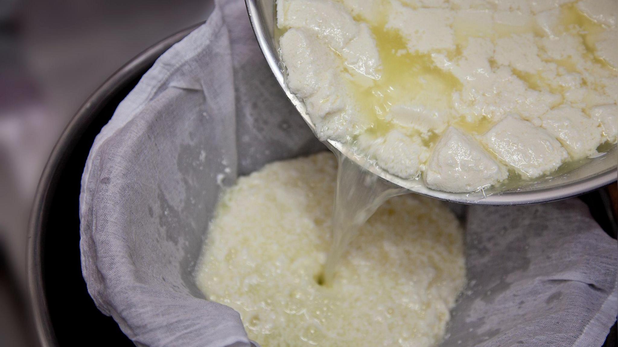 The photo shows the process of making mozzarella cheese, which drains off the whey through a white gauze and remains a chunk of cheese.