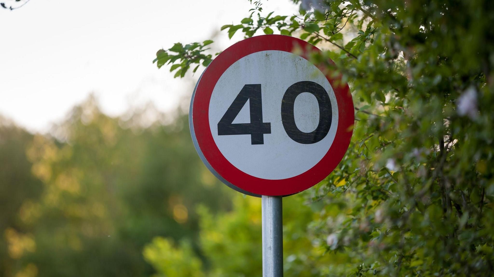 A 40mph road sign, it is a red circle around a white background with the number 40 in black numerals. There is a hedgerow to the right and the photo was taken on a sunny day.