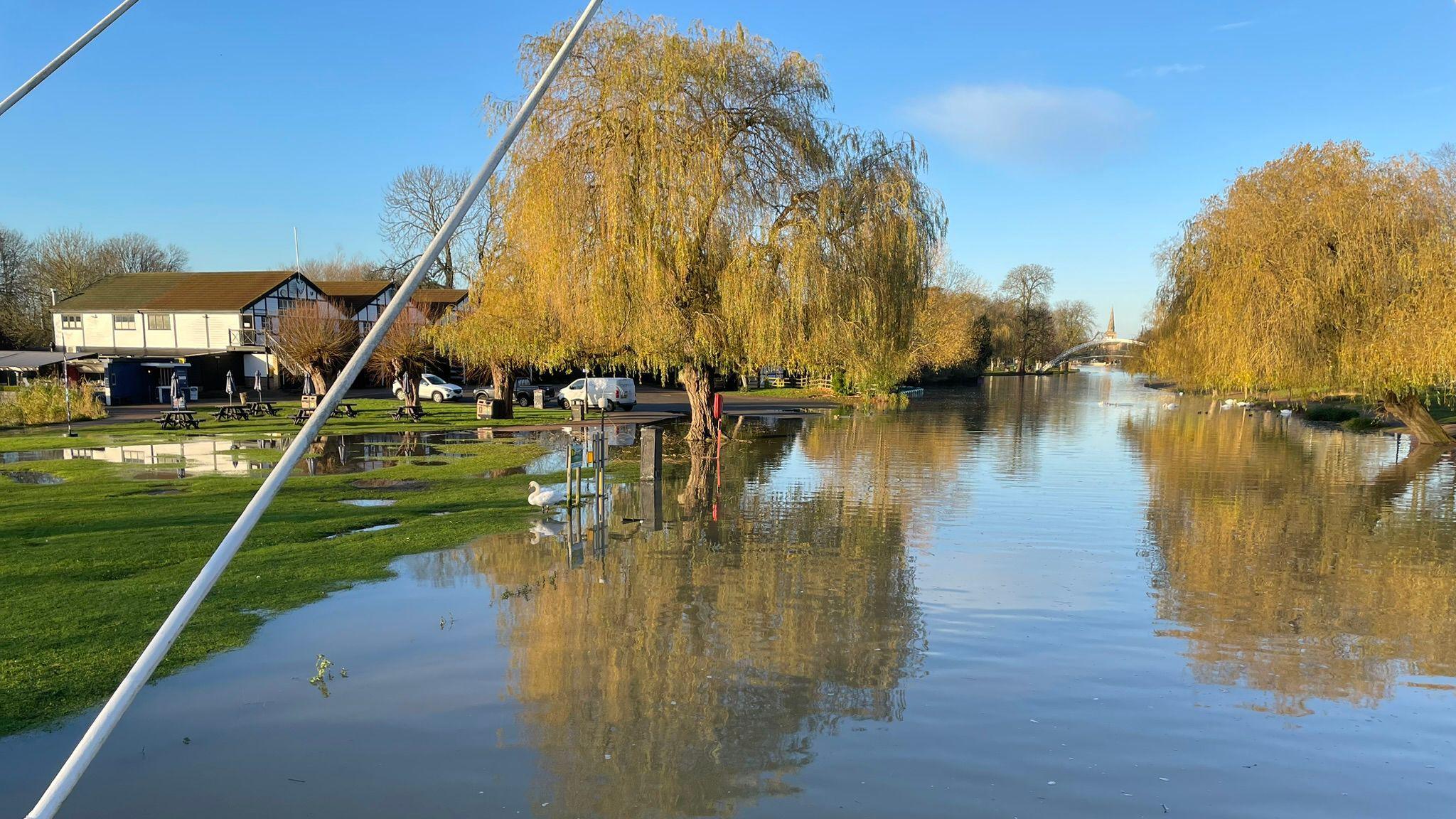 High water levels in Bedford, showing the river which has burst its banks. There are swans paddling on a grass area to the left of the river, with buildings and trees in the background. It is a sunny day.