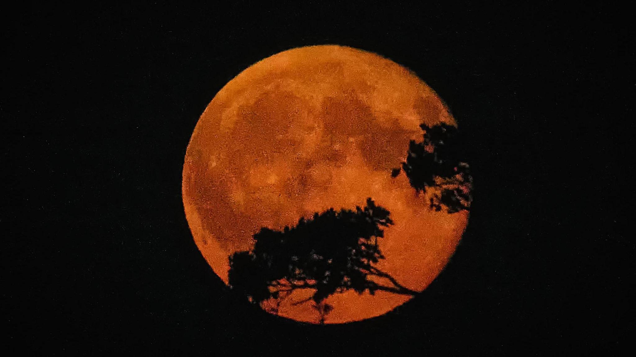 Harvest Moon from Farlacombe Farm, Bickington, Devon