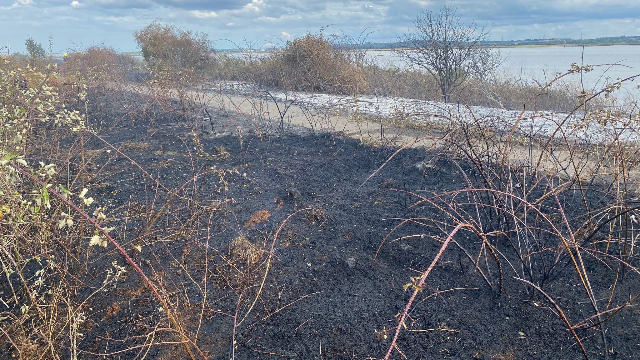 A field fire in East Tilbury