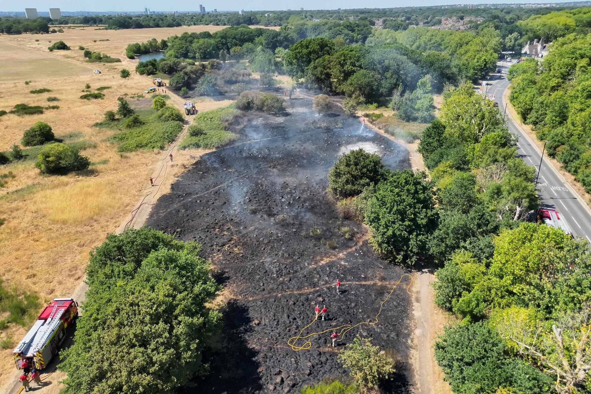 An aerial view of the site of a wildfire on some grassland next to a road. A large patch of grass is blackened and smoking, with a fire engine in the bottom left on a dirt track, and numerous firefighters with hoses scattered across the scene of the fire. The road runs to the right of the site, and the area is surrounded by green leafy trees. The surrounding grassland not affected by the fire is yellowed and dry.