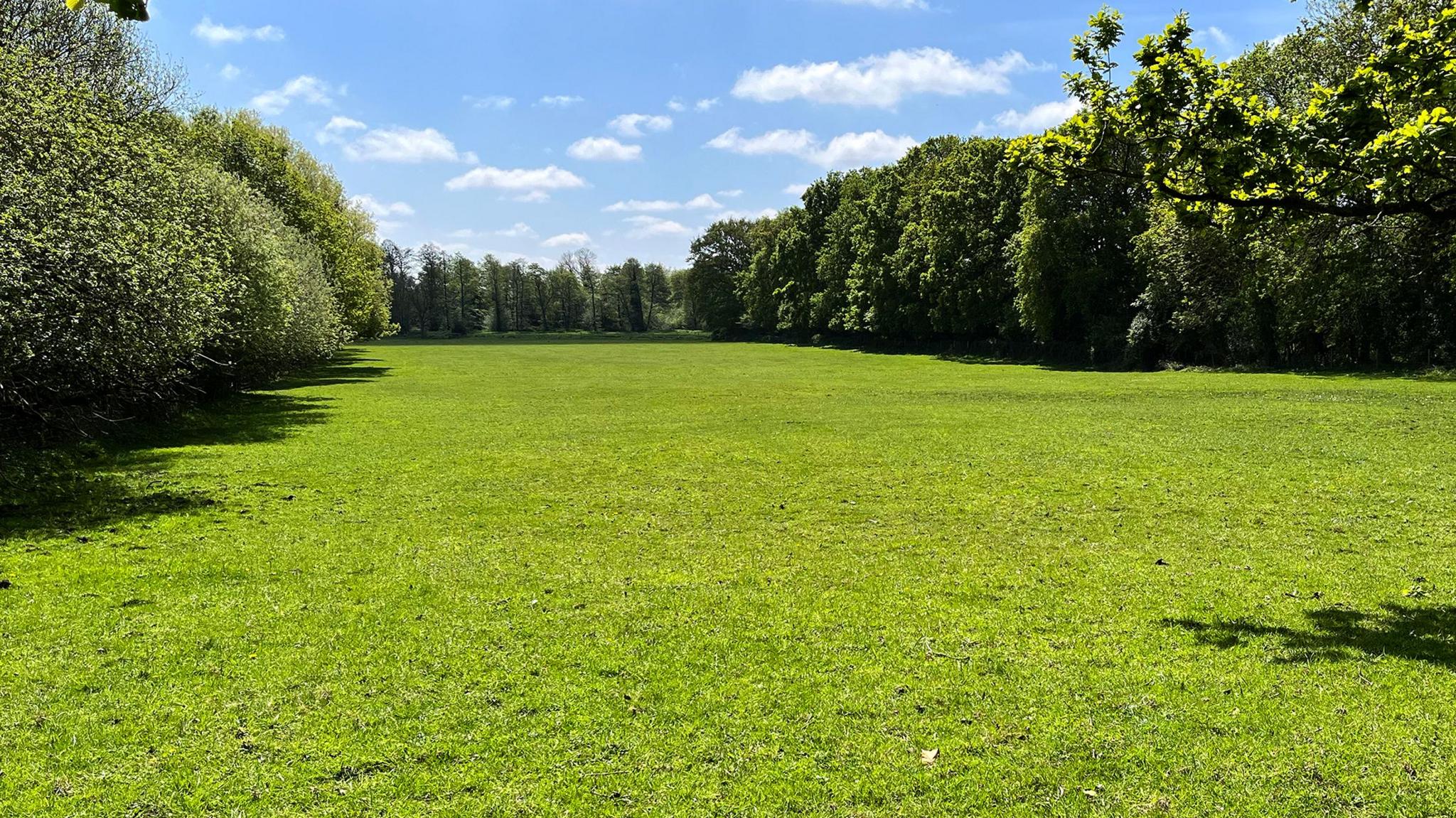 A meadow which leads to the River Tas in south Norfolk