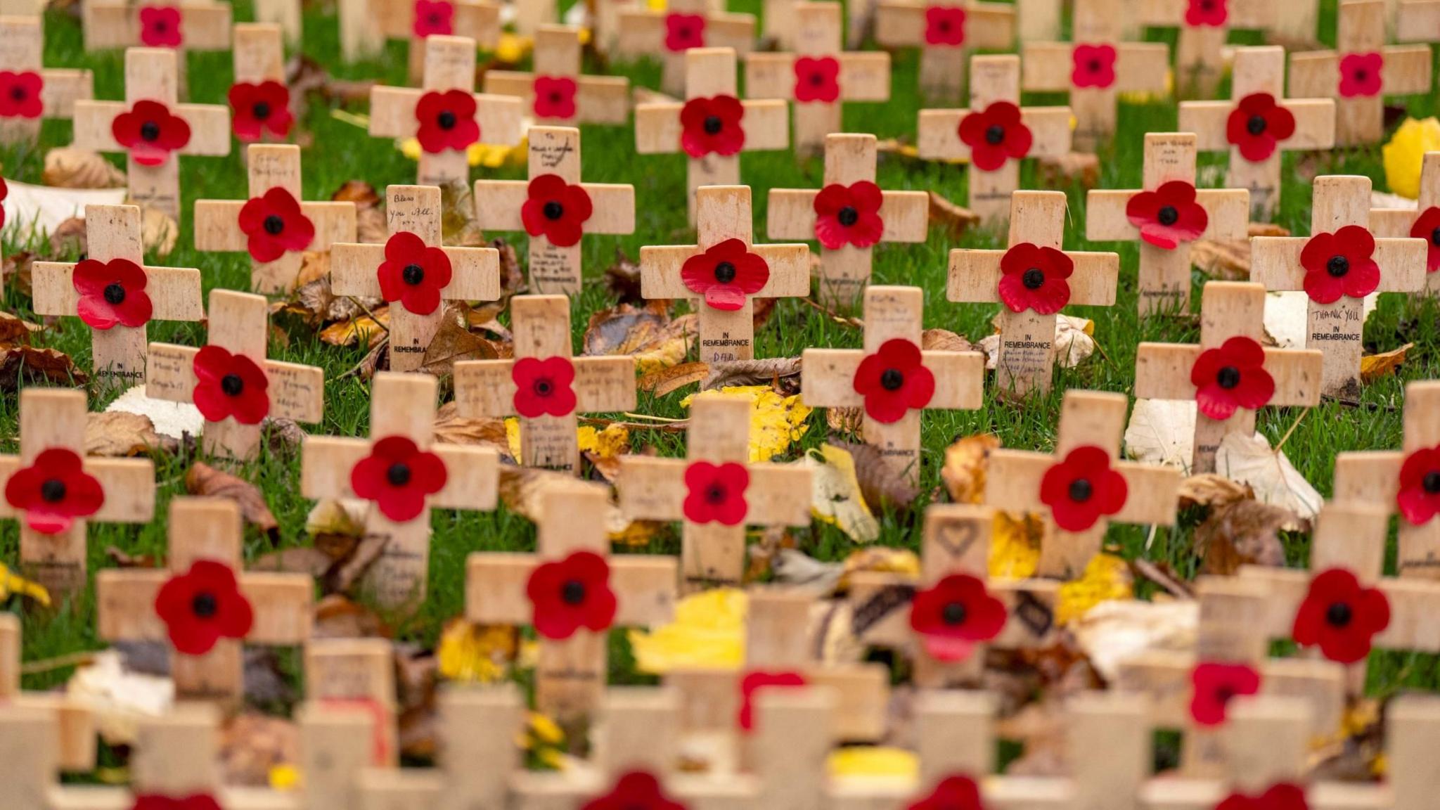 Memorial poppy crosses during the Armistice Day service in the Garden of Remembrance at the Scott Monument, in Princes St Gardens,