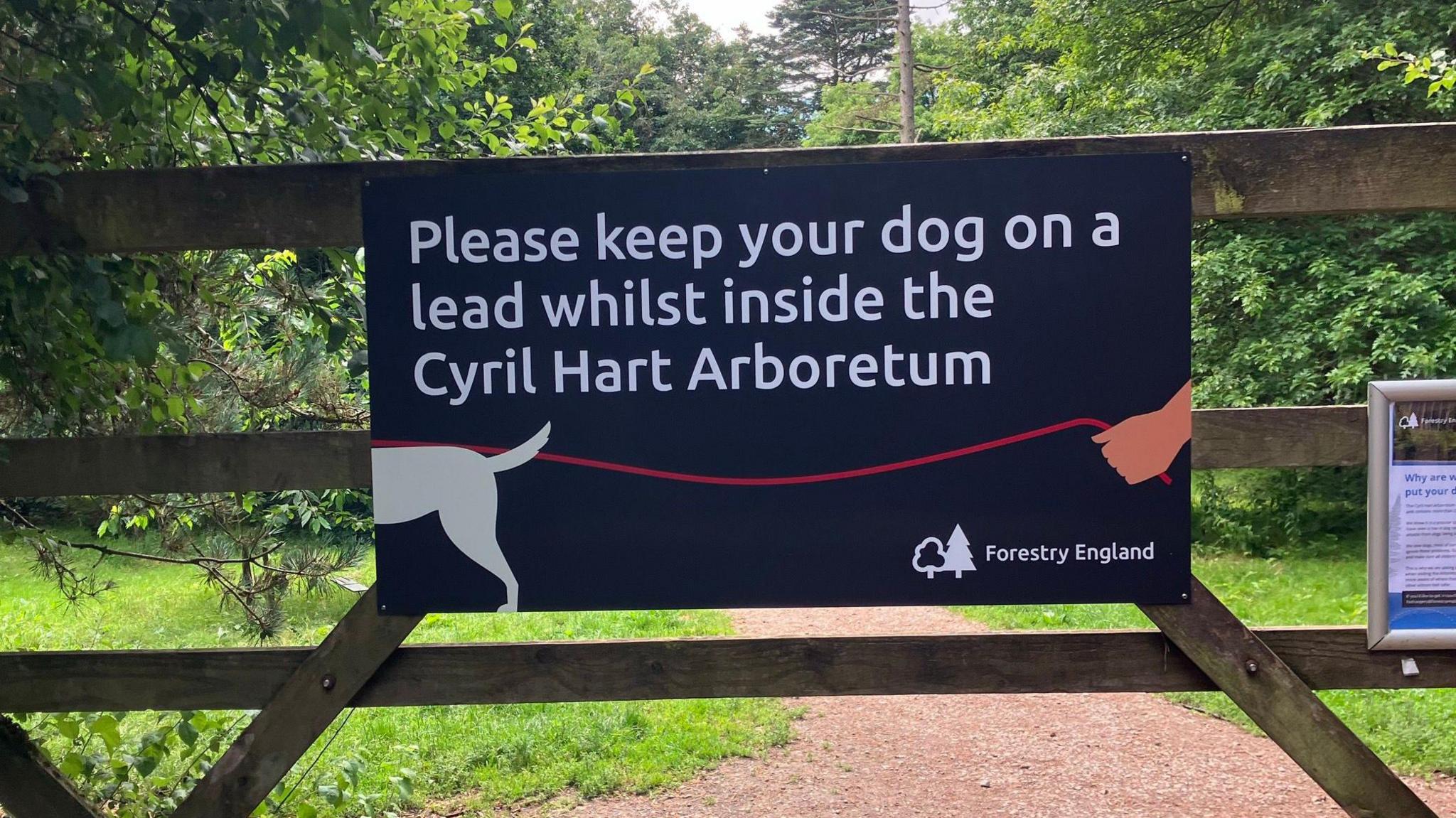 A sign bearing the Forestry England logo on the bottom right reading Please keep your dog on a lead whilst inside the Cyril Hart Arboretum 