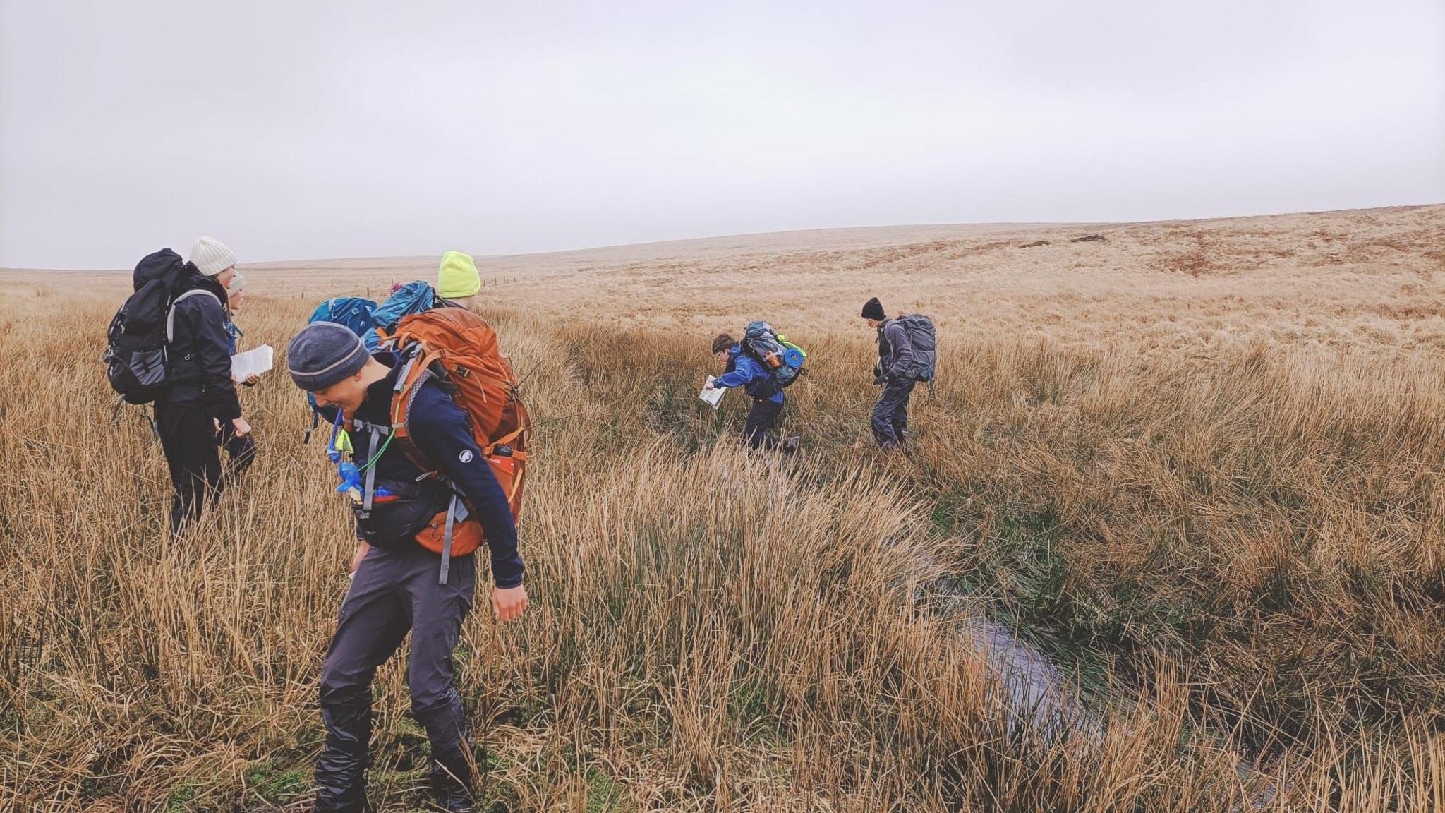 Four people scattered in long grass all looking down. They are wearing hats and rucksacks.
