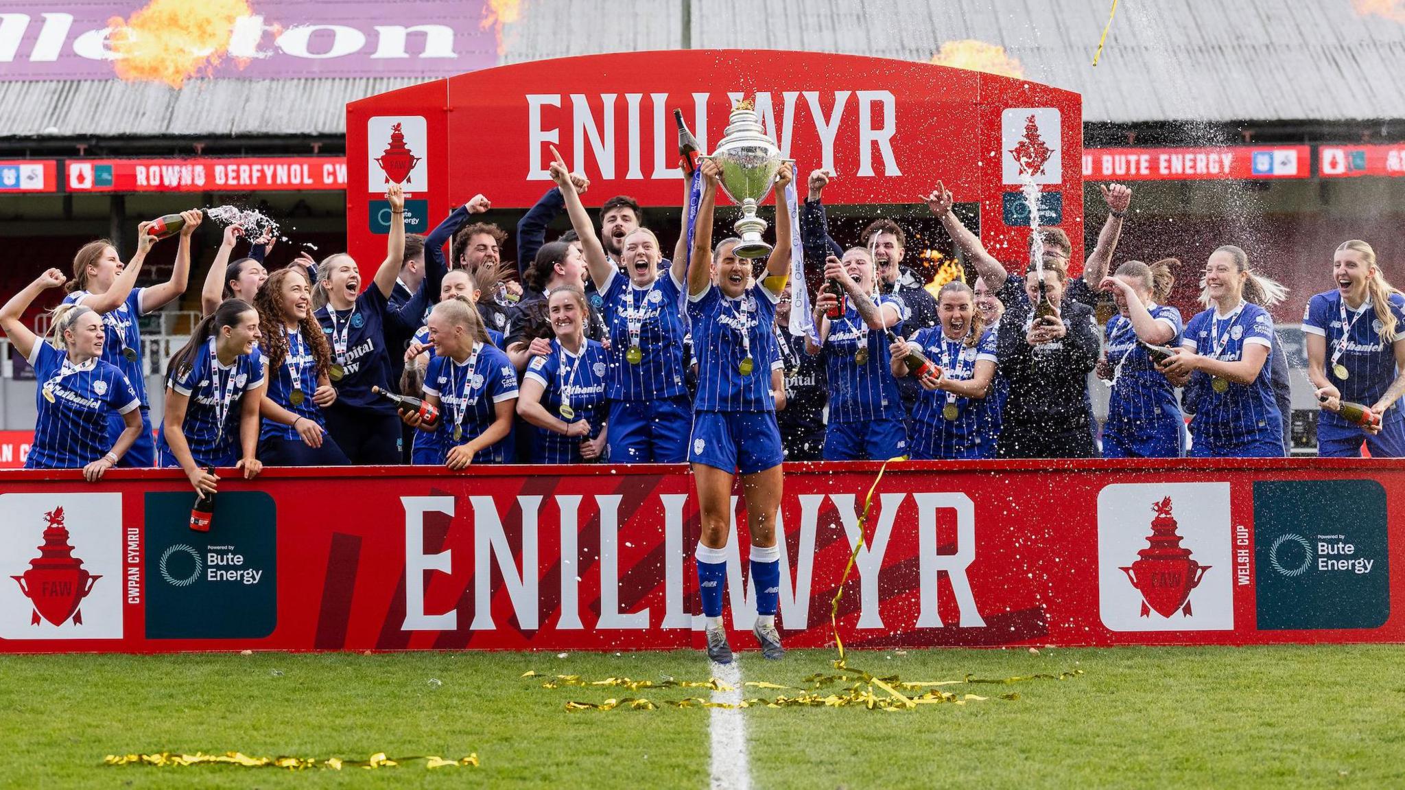 Cardiff City celebrate