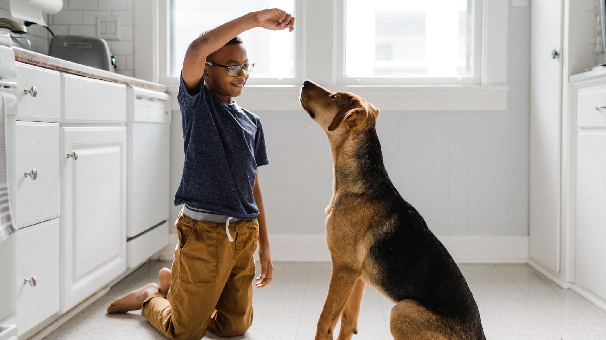 A boy holds a treat above a dog's head during a training session in a kitchen. 