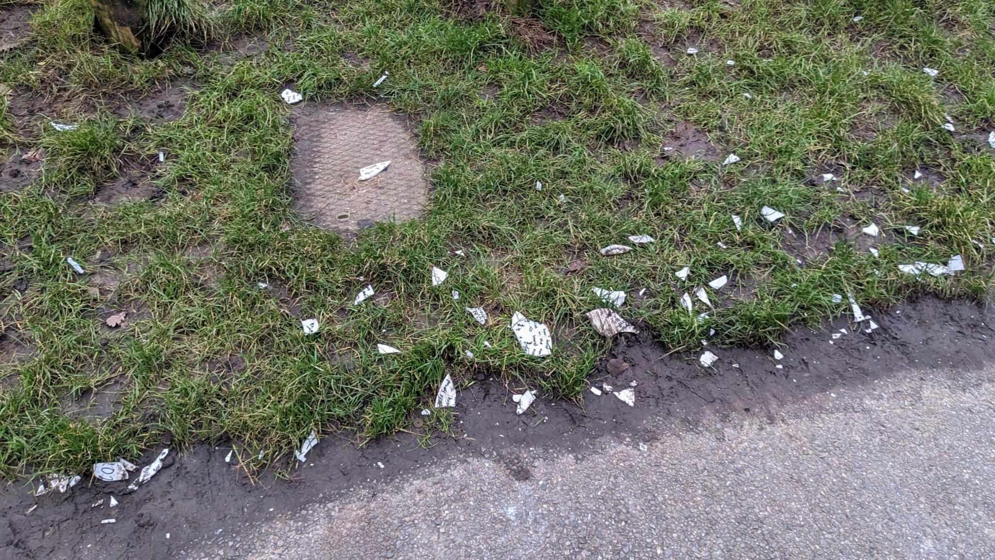 Smashed plates scattered on a park.
