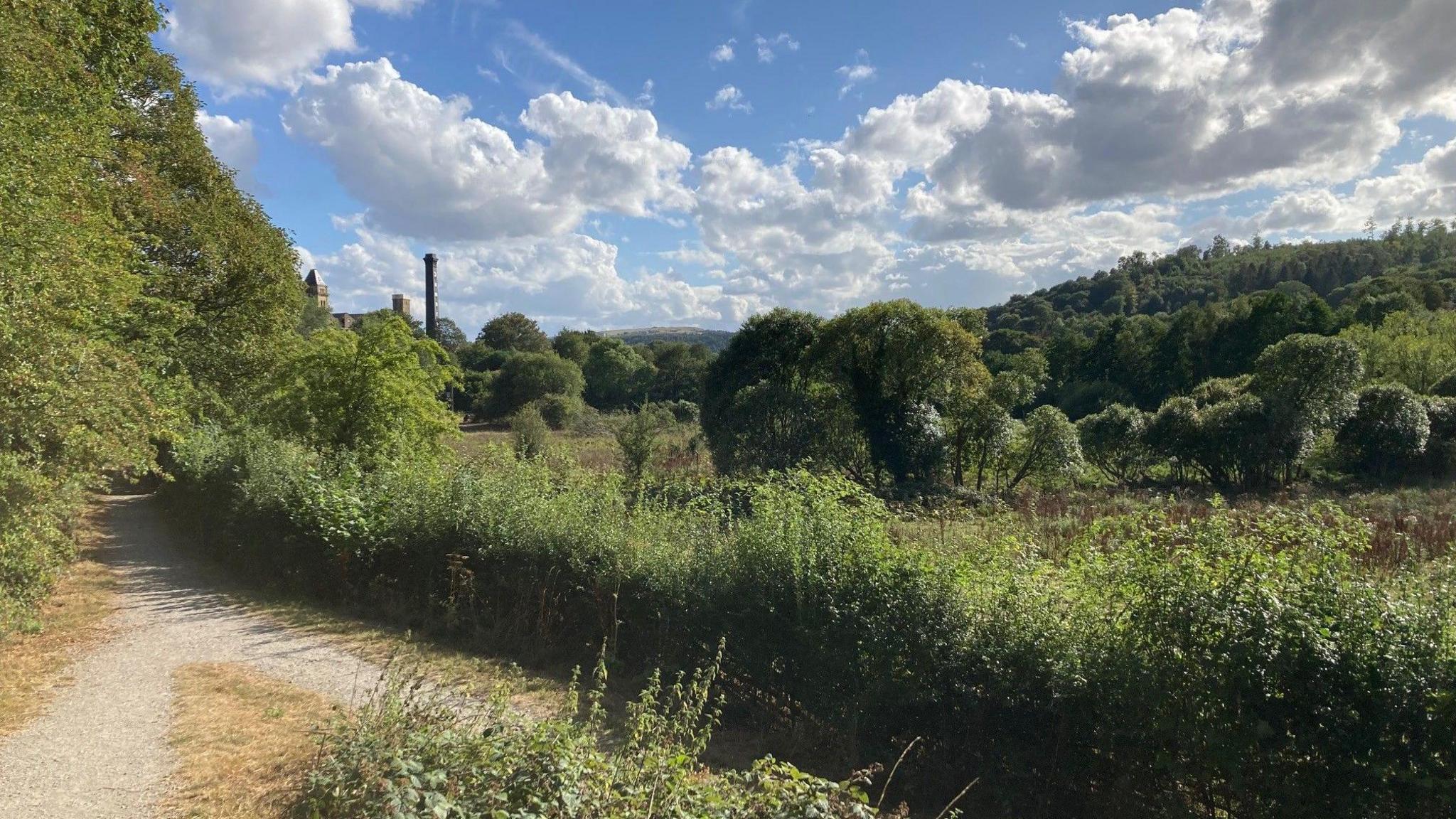 A light brown footpath running next to a green hedgerow with trees in the distance and a blue sky with white, fluffy clouds.