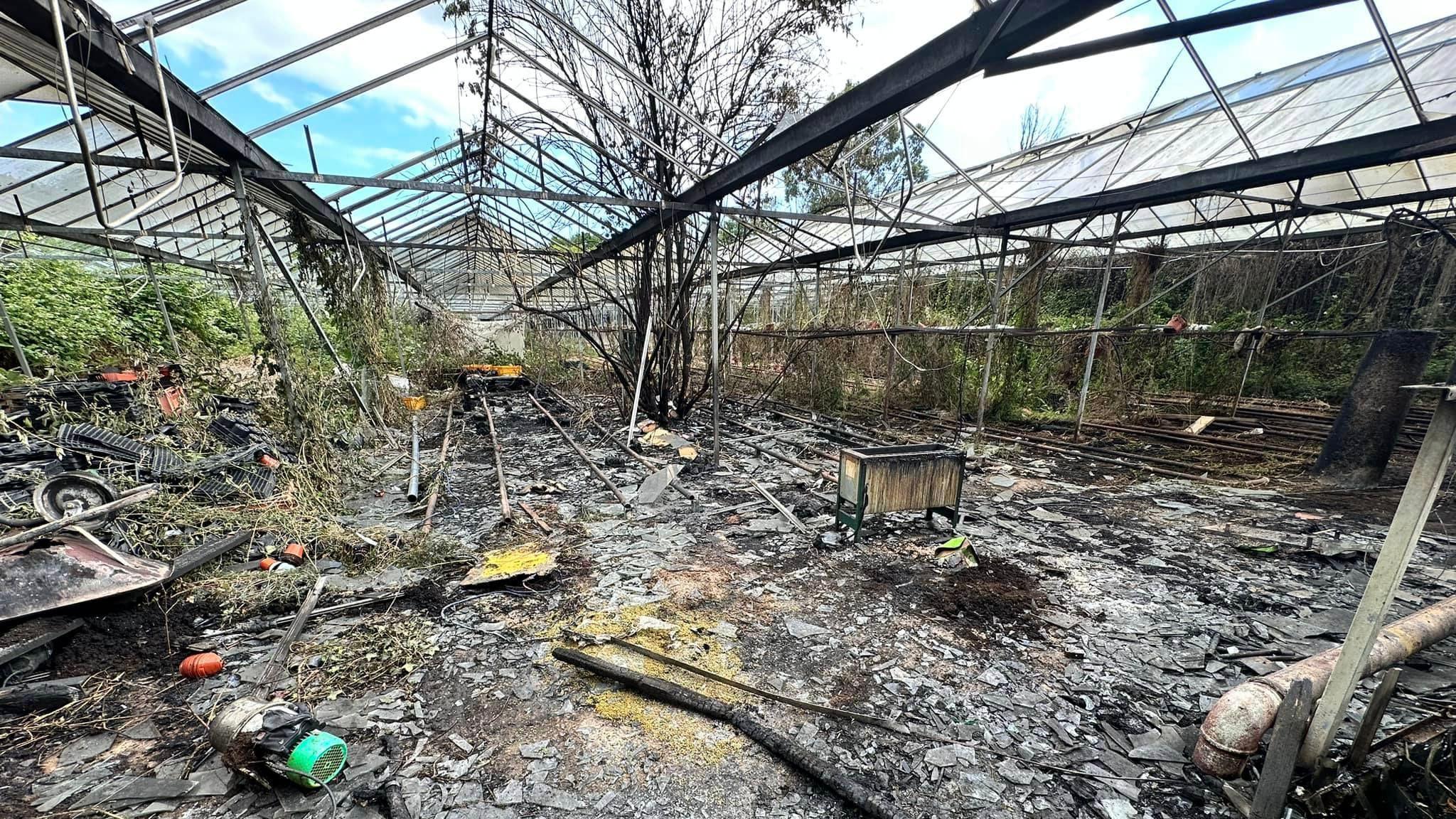 Greenhouse fire in Ottery St Mary 