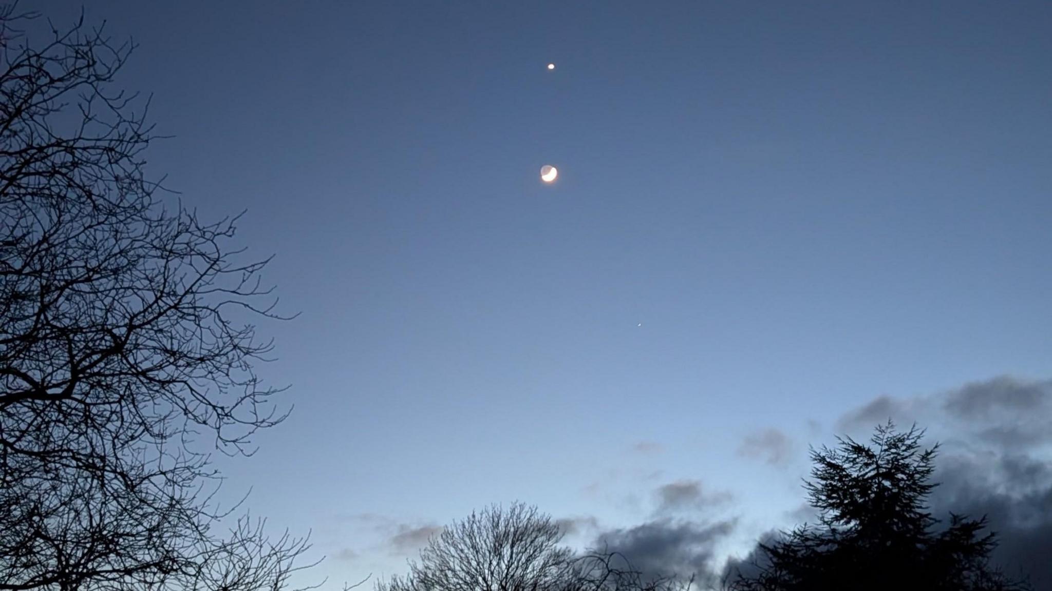 The Moon and Venus visible in the night sky, with the silhouettes of trees and clouds below.