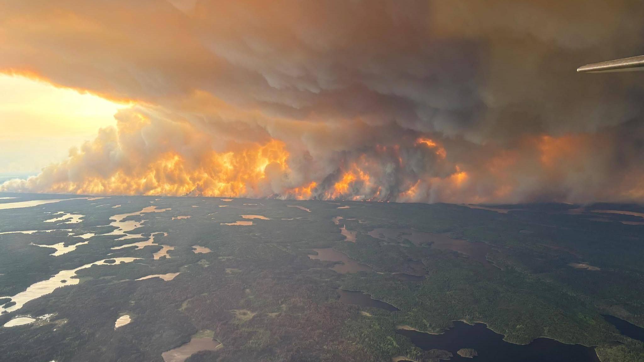A photo taken from a plane showing green forest interspersed with bodies of water. In the distance is a fire covering the whole horizon and thick black billowing smoke